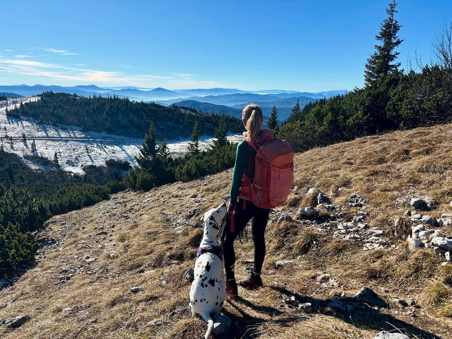 Frau mit Hund von hinten blicken von Almwiese auf Nebelmeer in Richtung Tal
