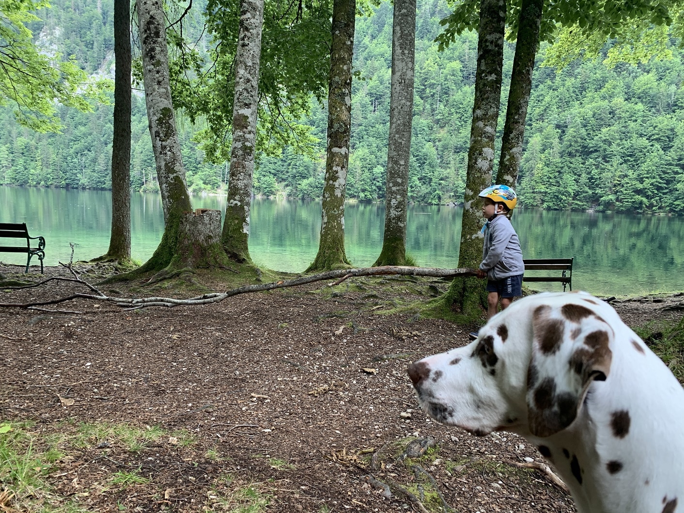 Kind spielt mit Ast an einem See, Bäume, Hund