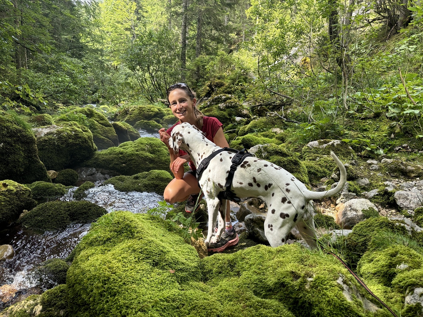 Frau mit Hund im Wald an einem Bach