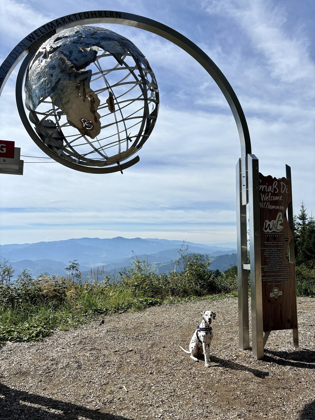 Hund sitzt an einem Aussichtspunkt, mit Blick über die Berge