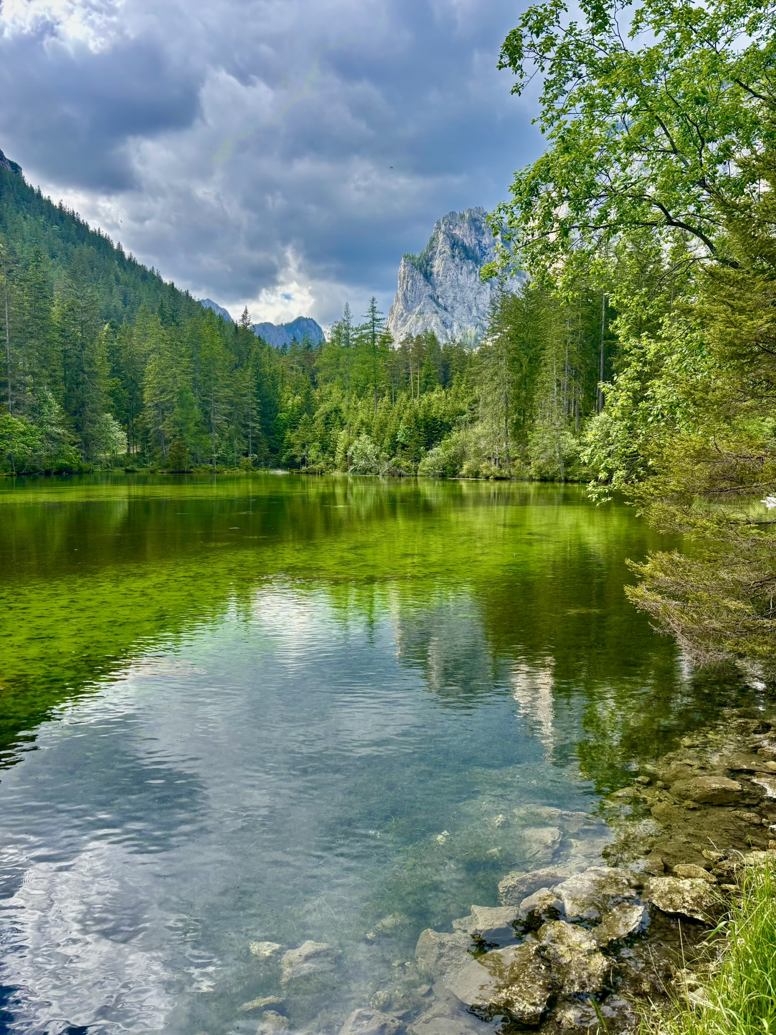 Landschaftsschutzgebiet Grüner See und Kreuzteich, klarer See, Bäume
