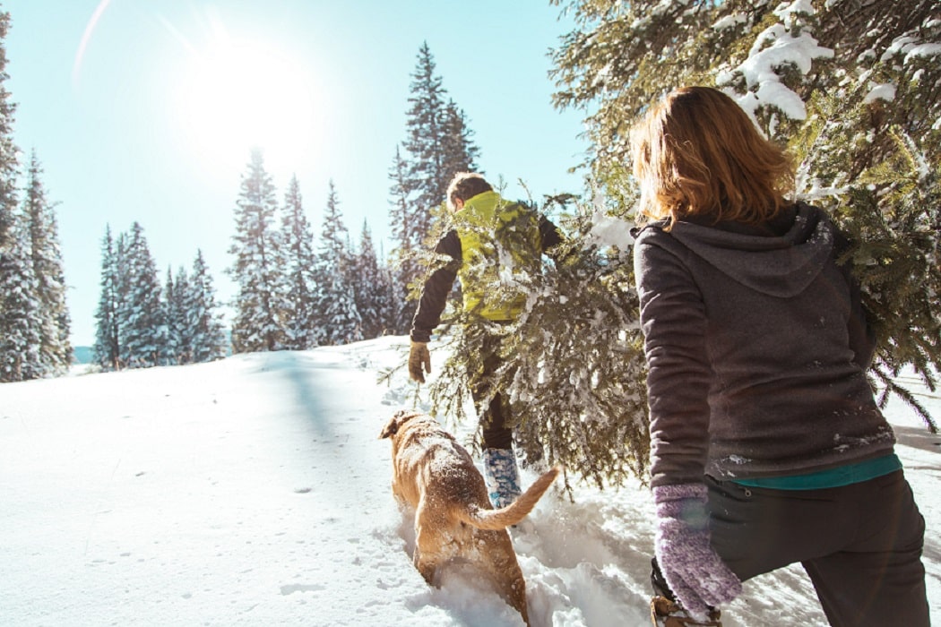 Frau und Mann wandern mit ihrem Hund durch den Schnee durch Bäume.