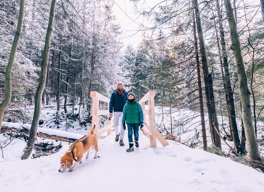 Mann und Kind wandern durch verschneiten Wald über Holzbrücke mit Hund.