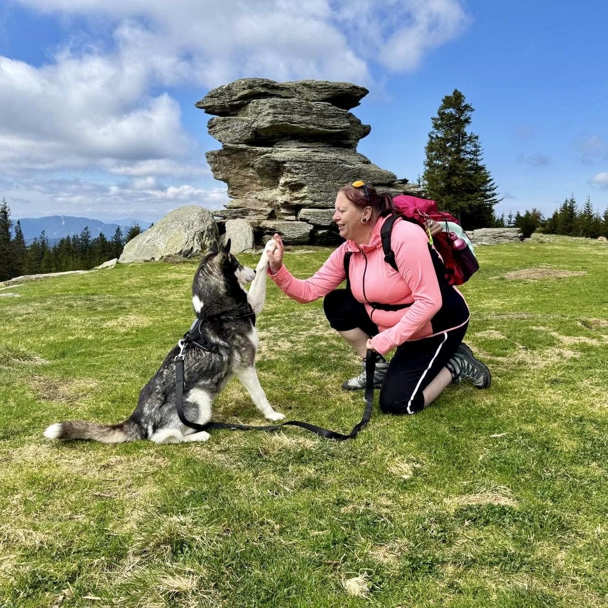 Schwarzer Hund sitzt und gibt Frau Pfote; Felsformation Teufelstein im Hintergrund