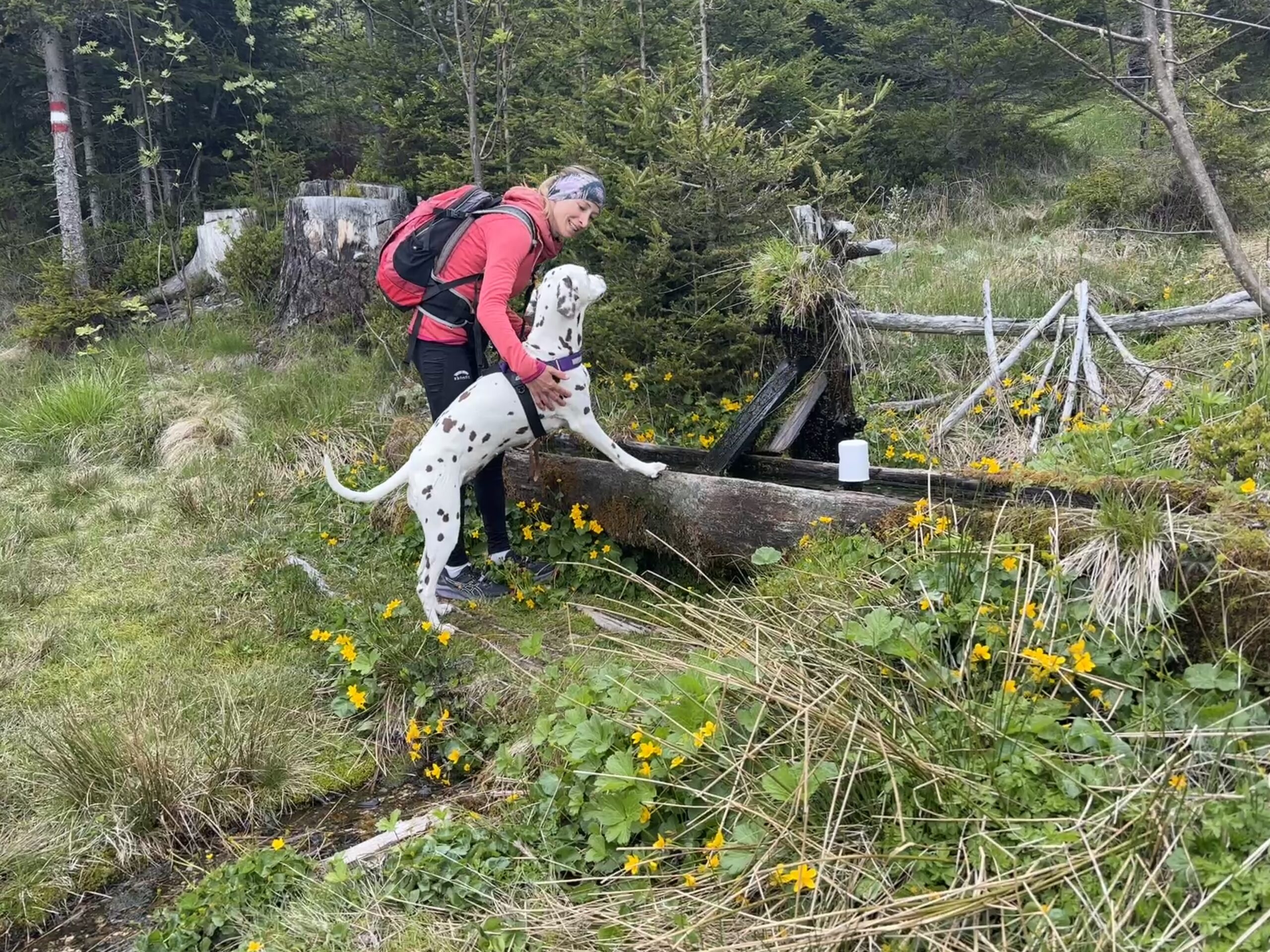 Frau mit Hund am Brunnen am Weg zum Troiseck in Kindberg, Wandern Steiermark