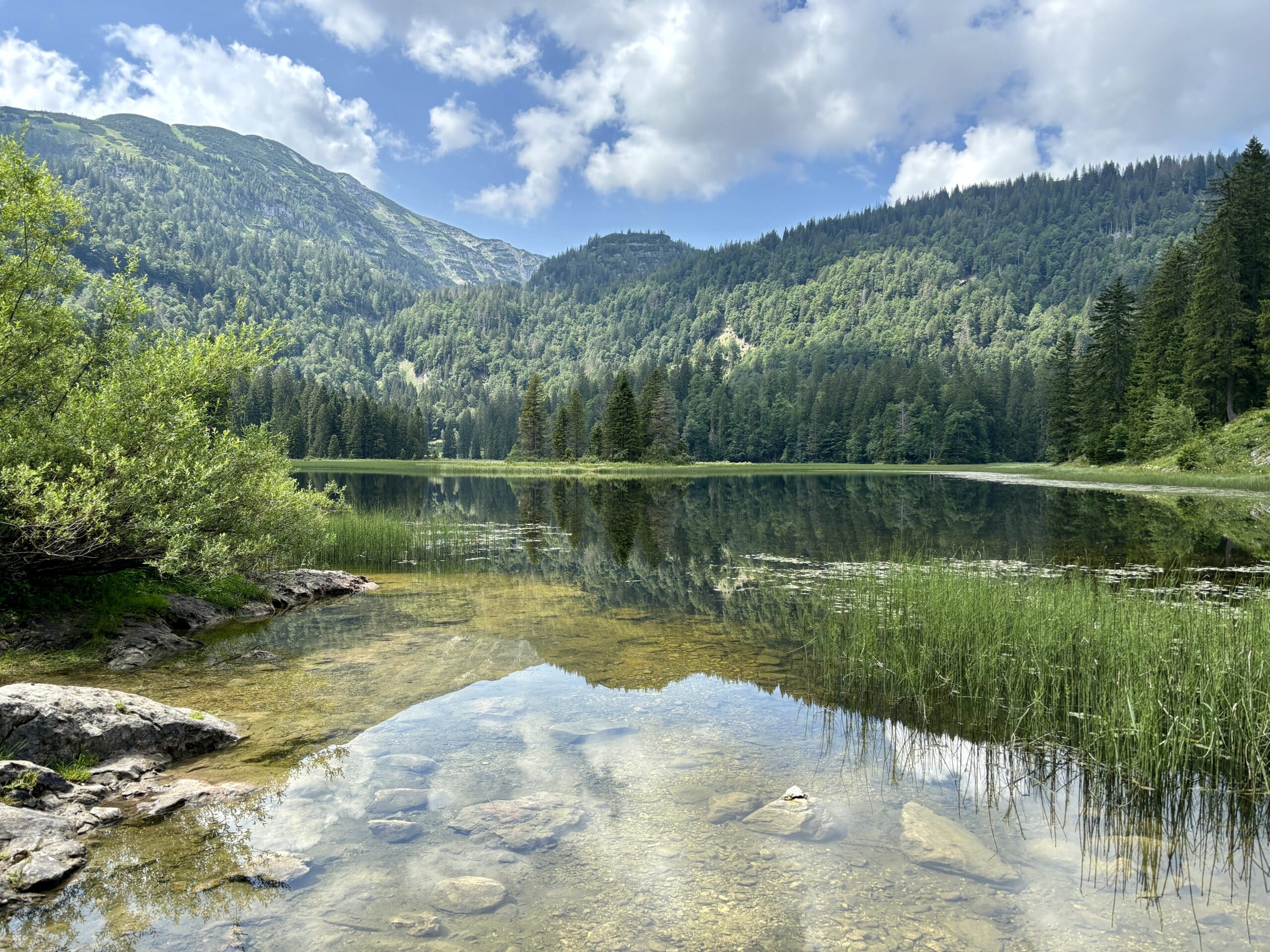 Bergsee umrahmt von Wald