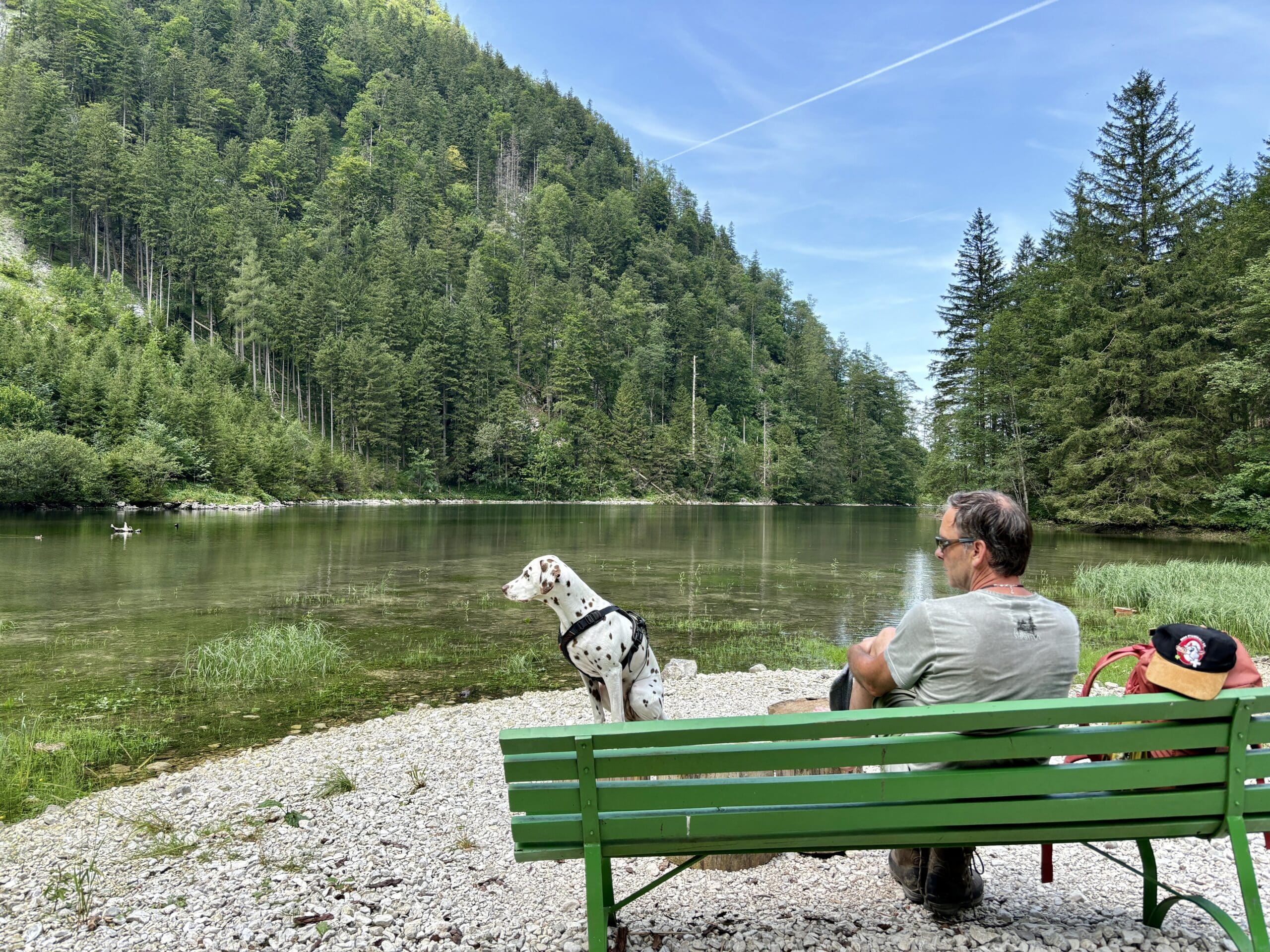 Mann sitzt mit Hund auf einer Bank an einem See.