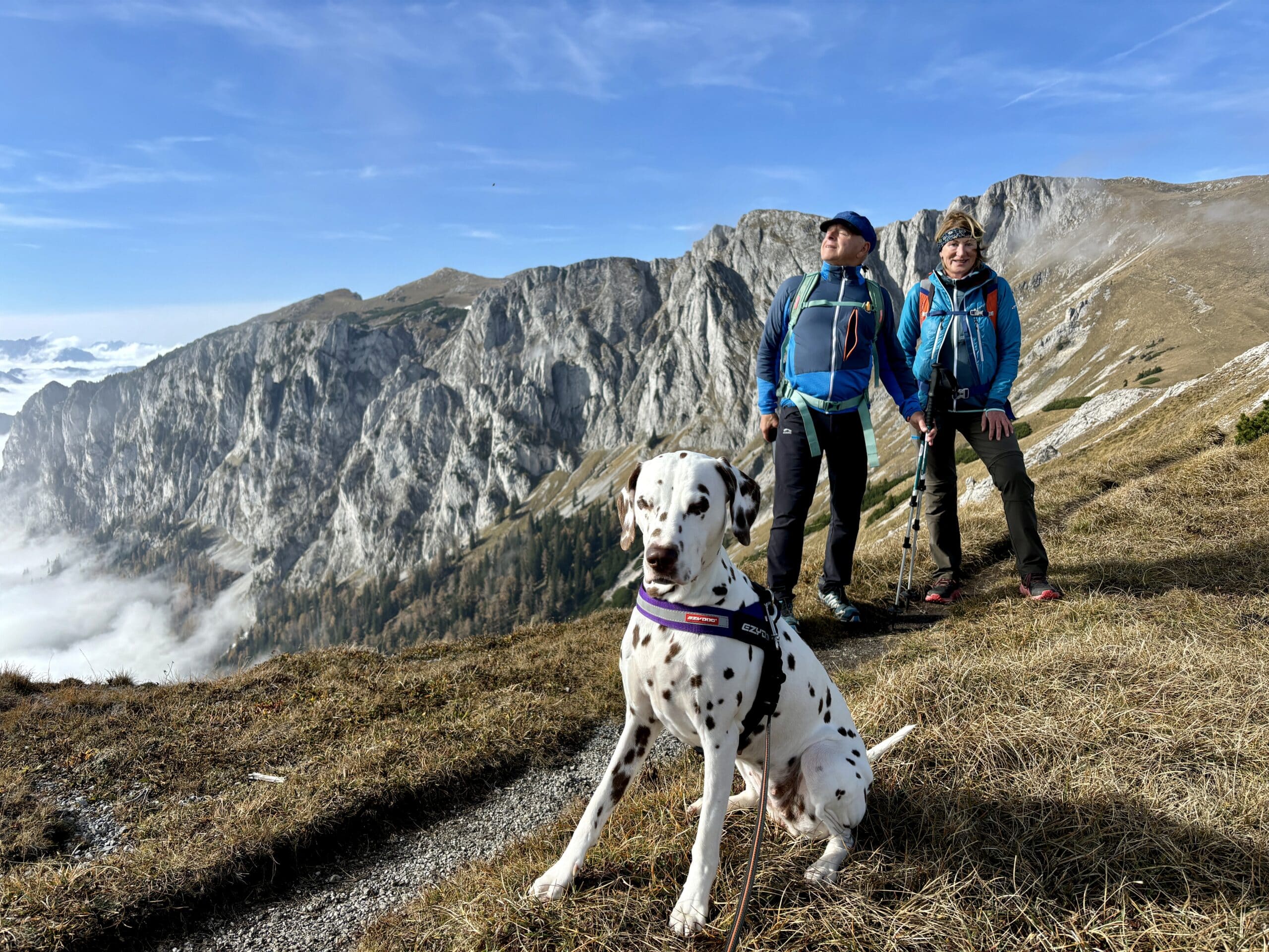 Hund (Dalmatiner) im Vordergrund am Berg; hinten steht ein Pärchen in Wanderkleidung