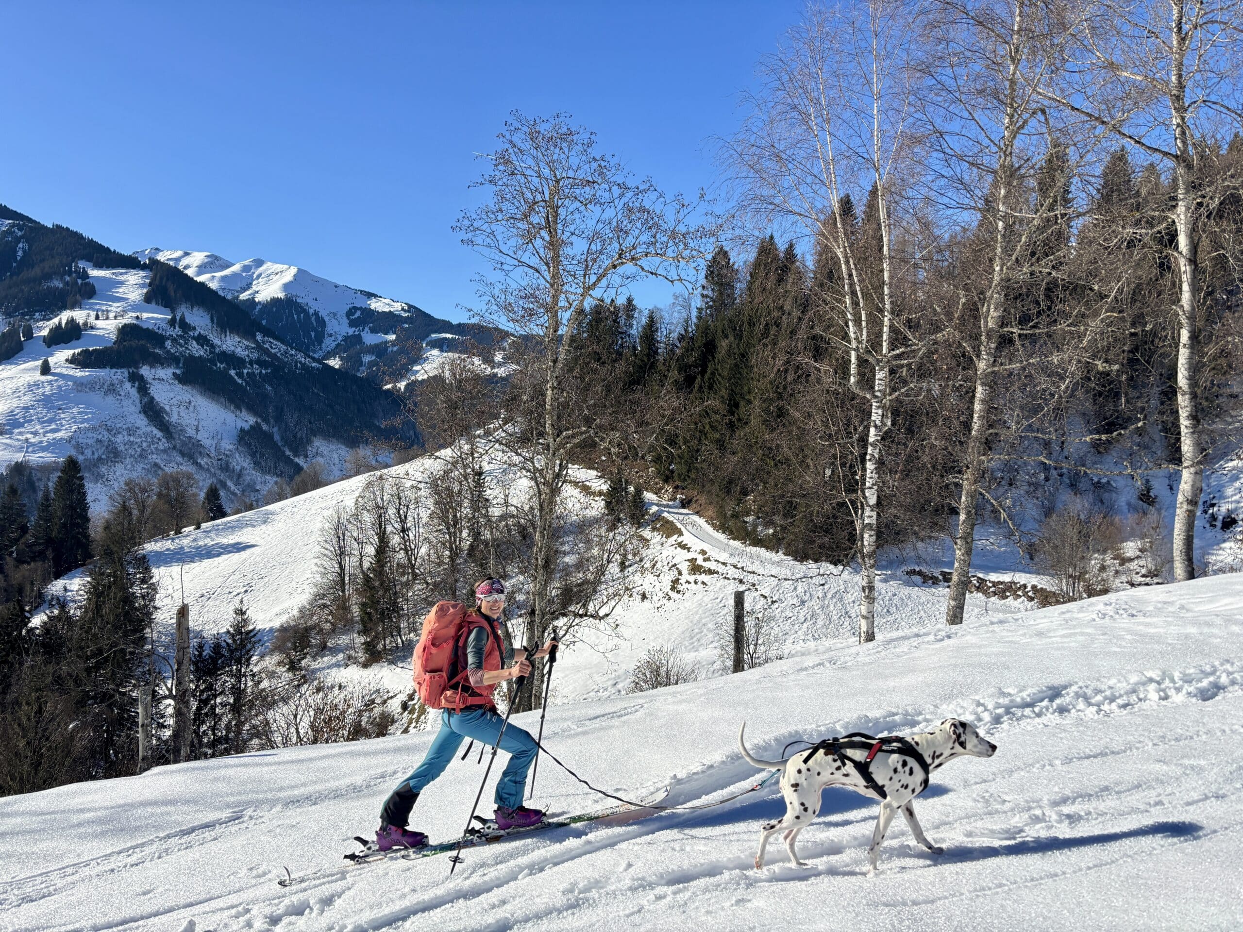 Frau mit Hund auf Skitour