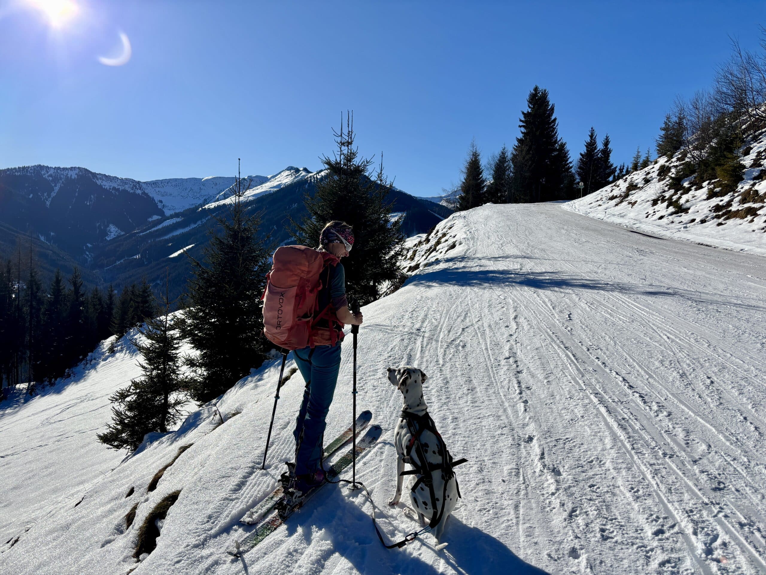Frau mit Hund auf Skitour auf einem verschneiten Forstweg