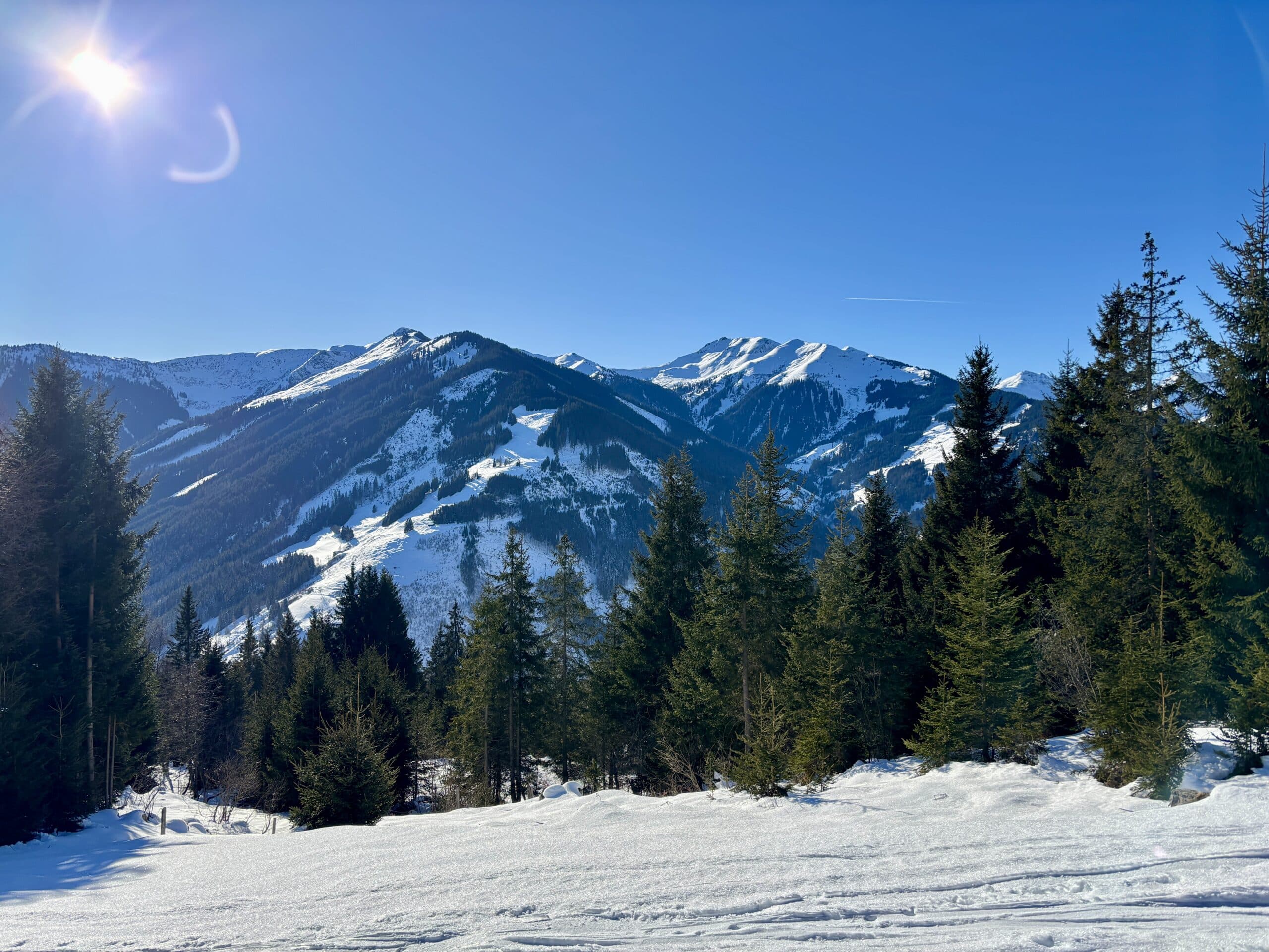 Blick auf verschneite Berge und Wald; blauer Himmel