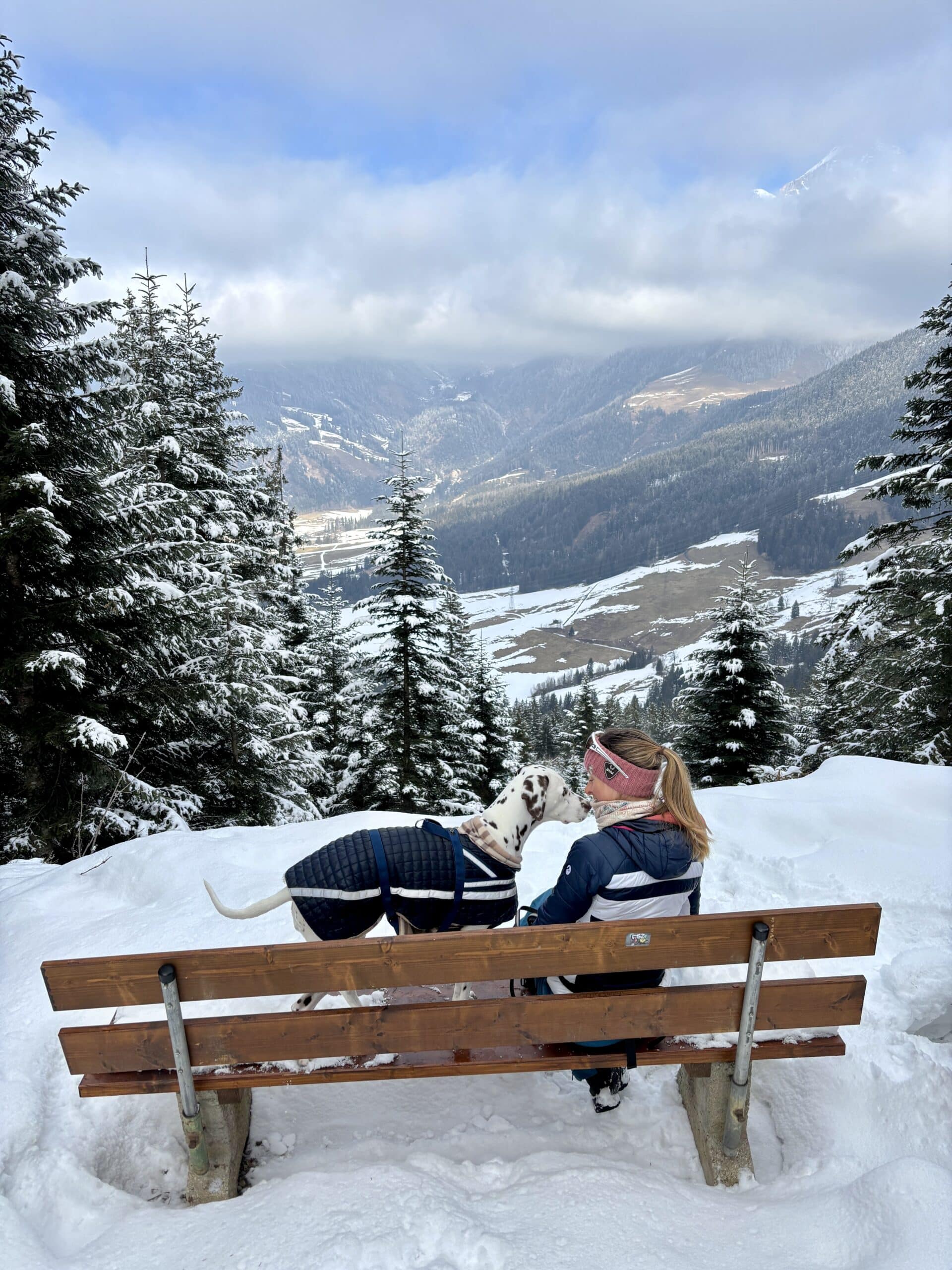Frau sitzt in Winterlandschaft im Wald mit ihrem Hund auf einer Bank.