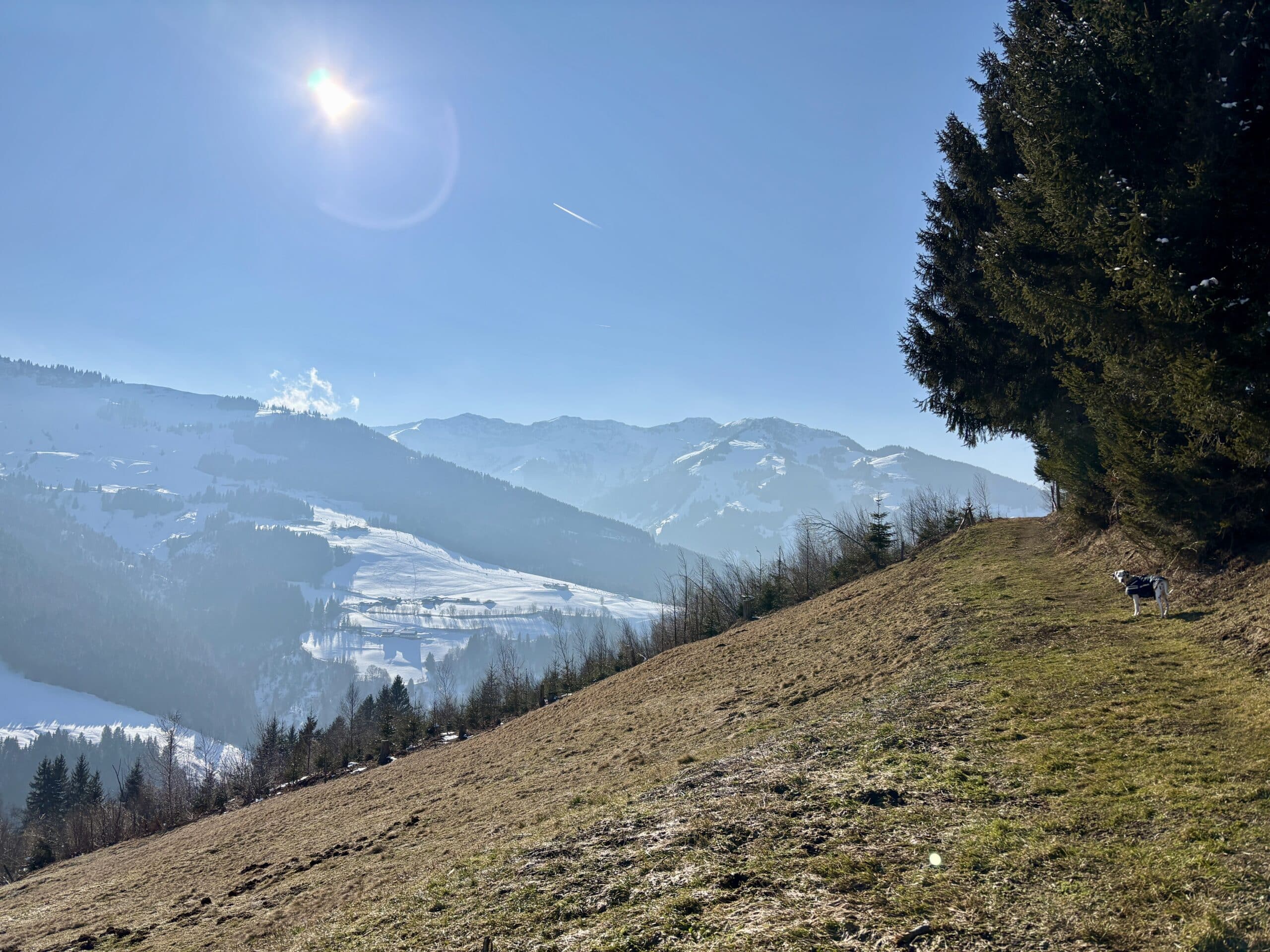 Wanderweg mit Blick auf verschneite Berge
