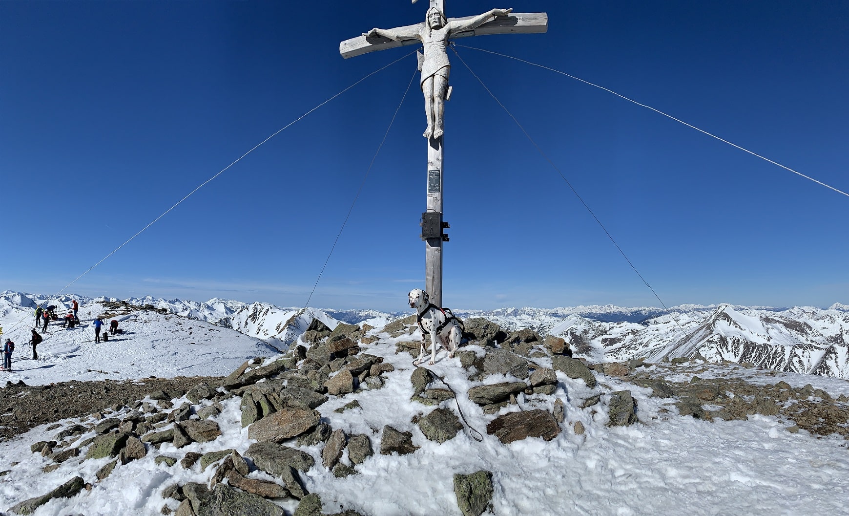 Gipfelkreuz im Schnee, tiefblauer Himmer; Hund (Dalmatiner) sitzt dacor