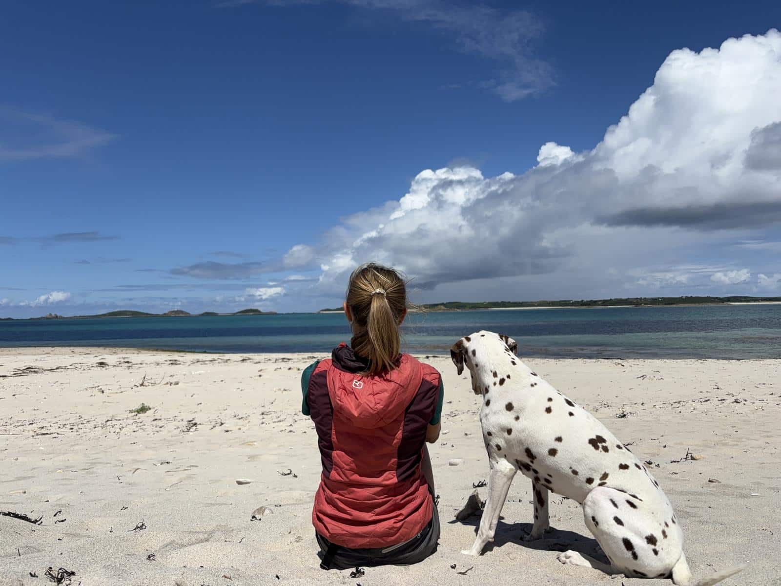 Frau und Hund (Dalmatiner) von hinten sitzen an einem weißen Sandstrand und blicken aufs Meer