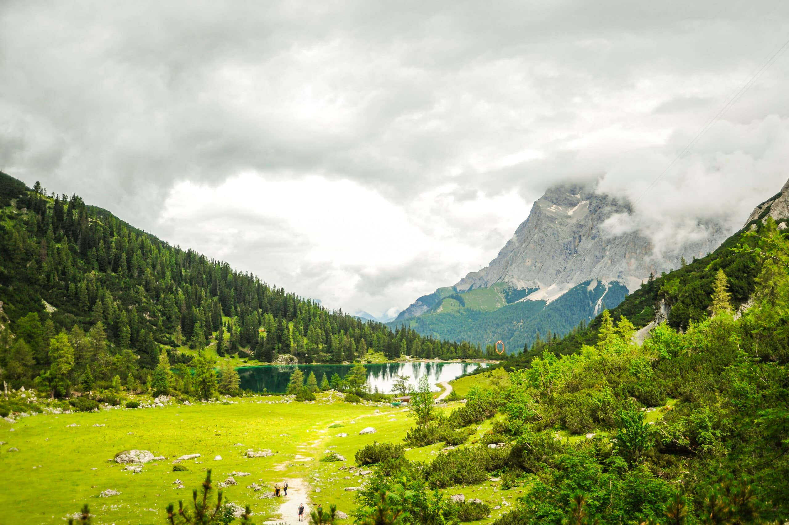 Bergsee umrahmt von Wald und Wiesen