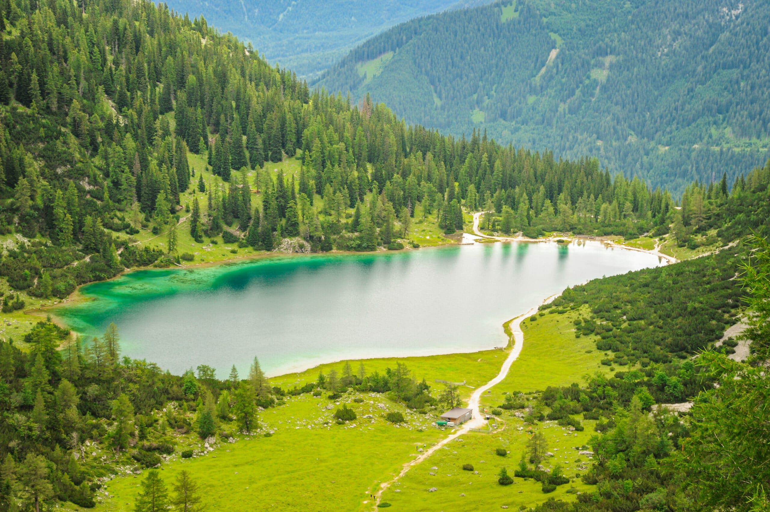 Bergsee umrahmt von Wiesen und Wälder.