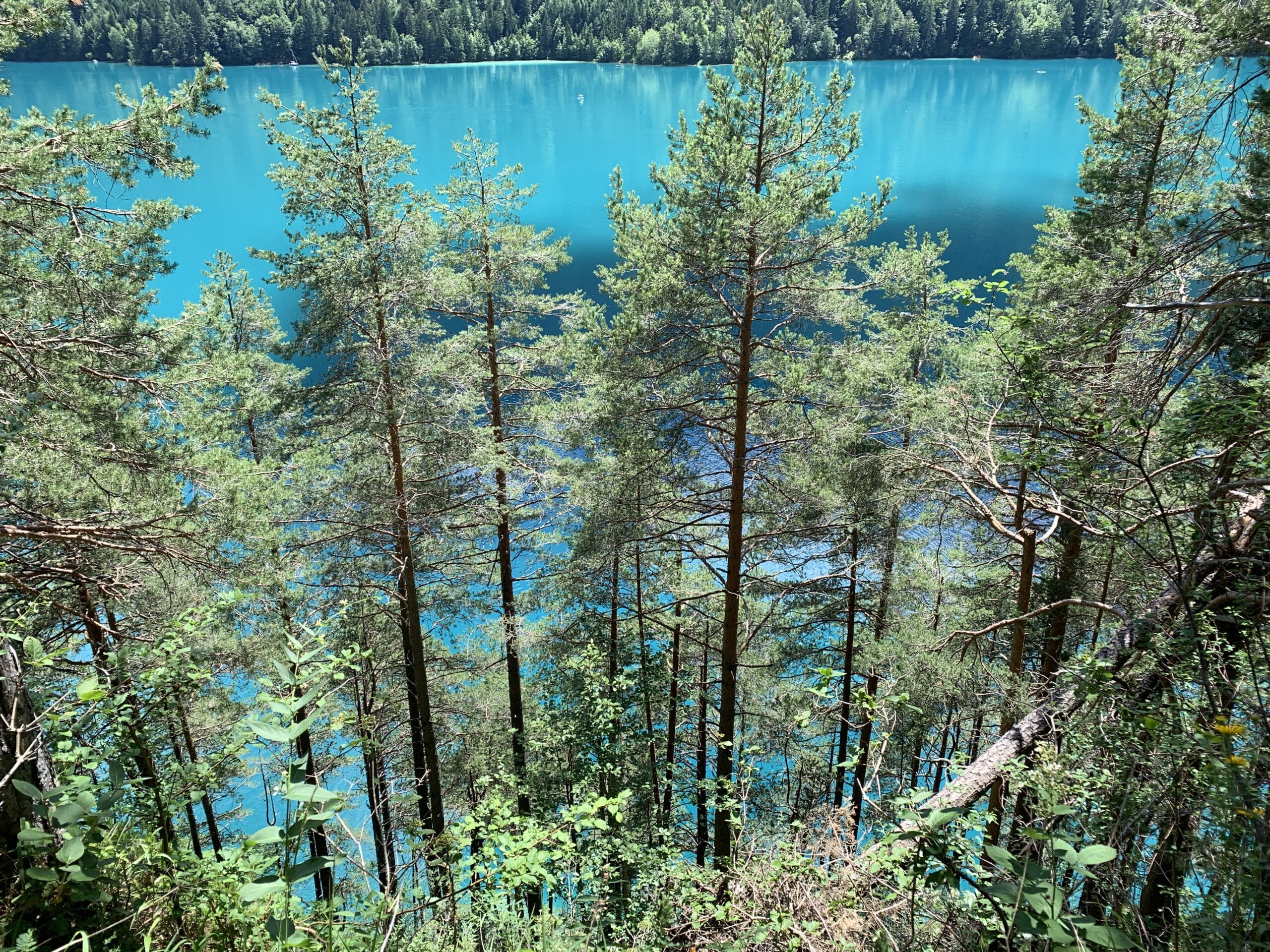 Durch Bäume schimmert ein smaragdgrüner See.