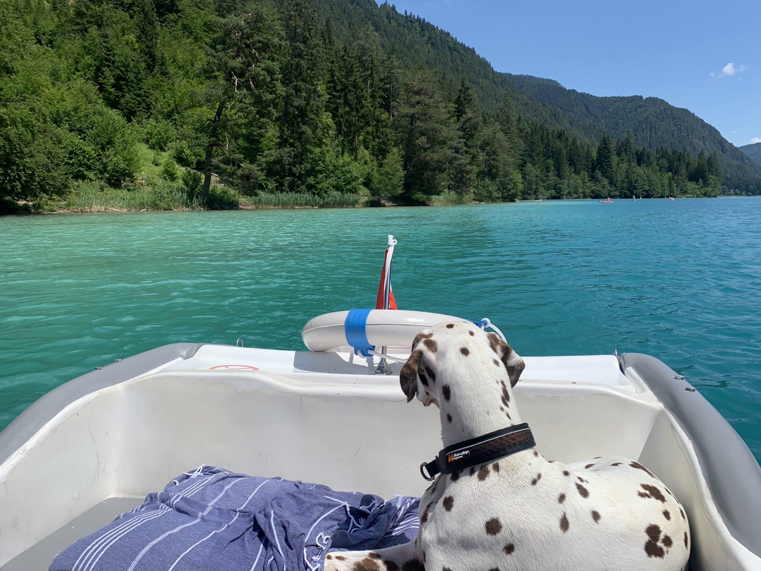 Dalmatiner auf Boot in einem türkis-leuchtendem See