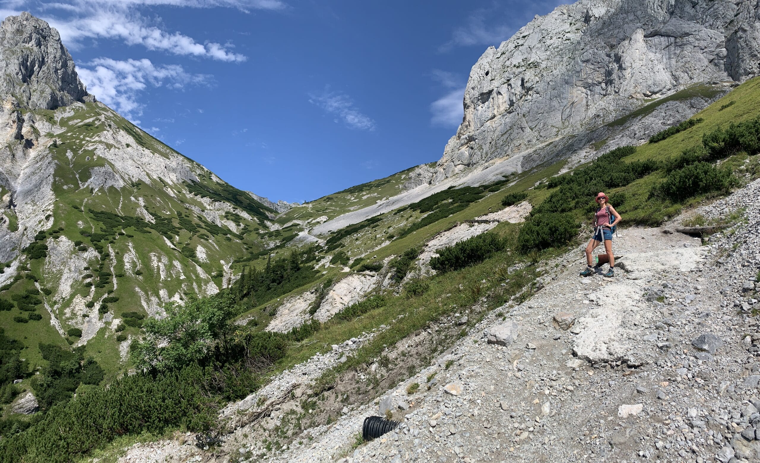 Kalksteinmassiv, Bergwiese, Latschenfelder