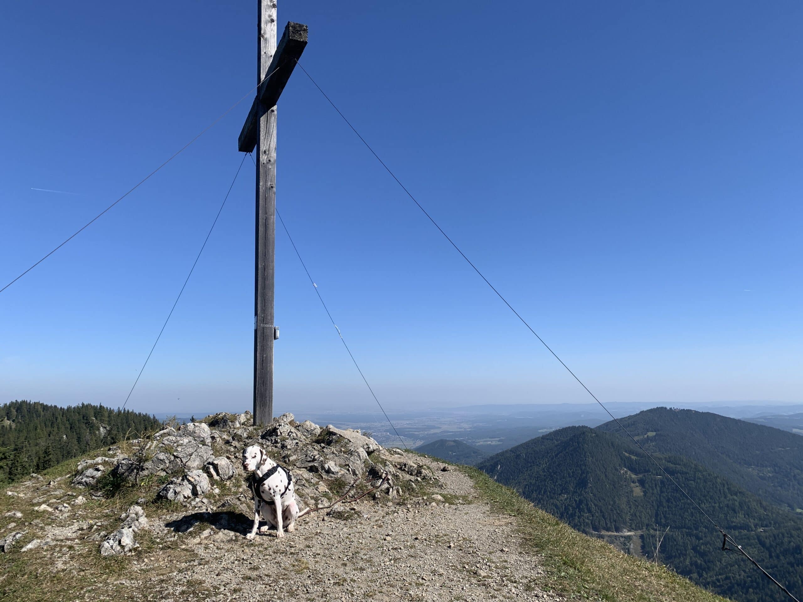 Hund sitzt vor Gipfelkreuz