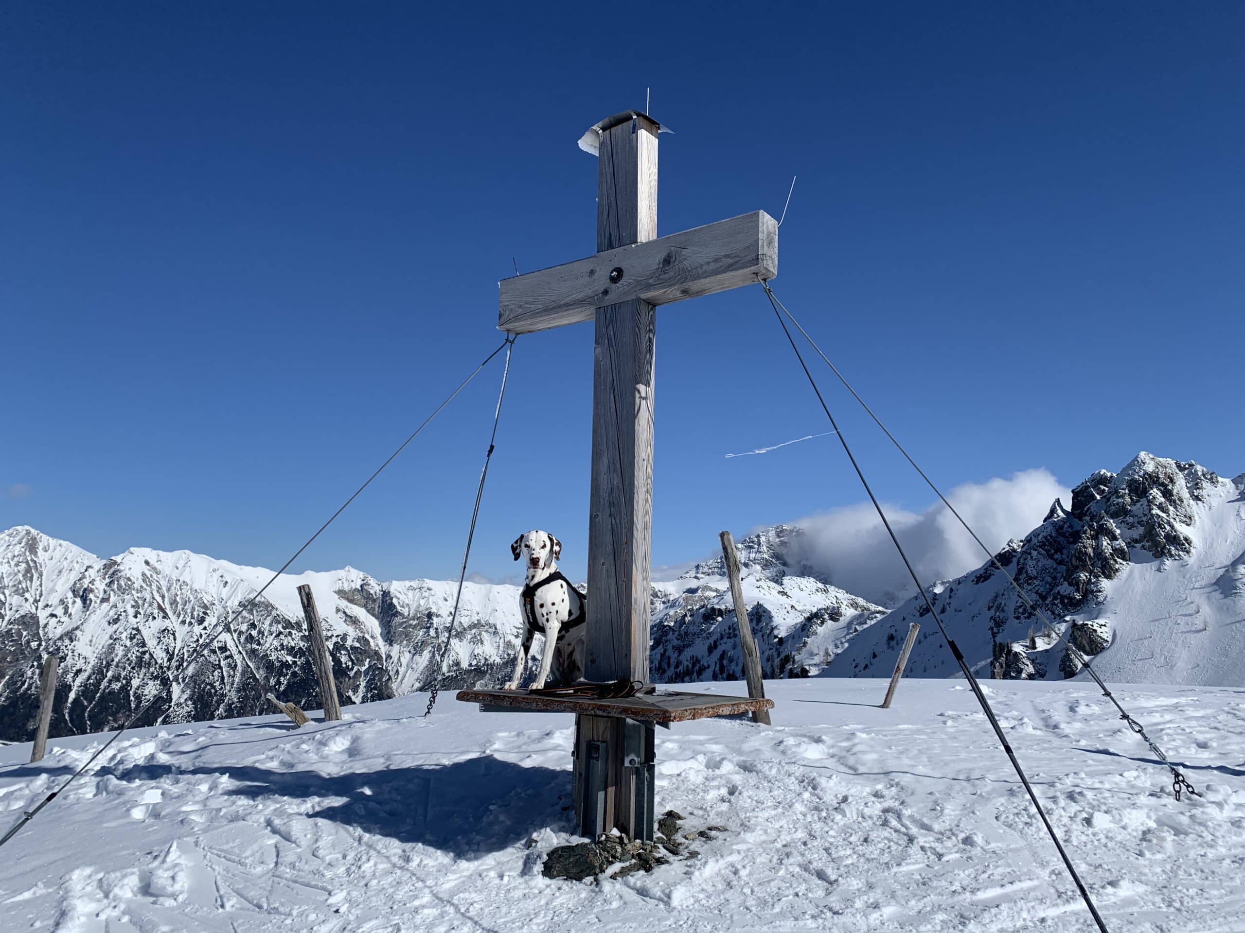 Hund sitzt bei Gipfelkreuz in Winterlandschaft