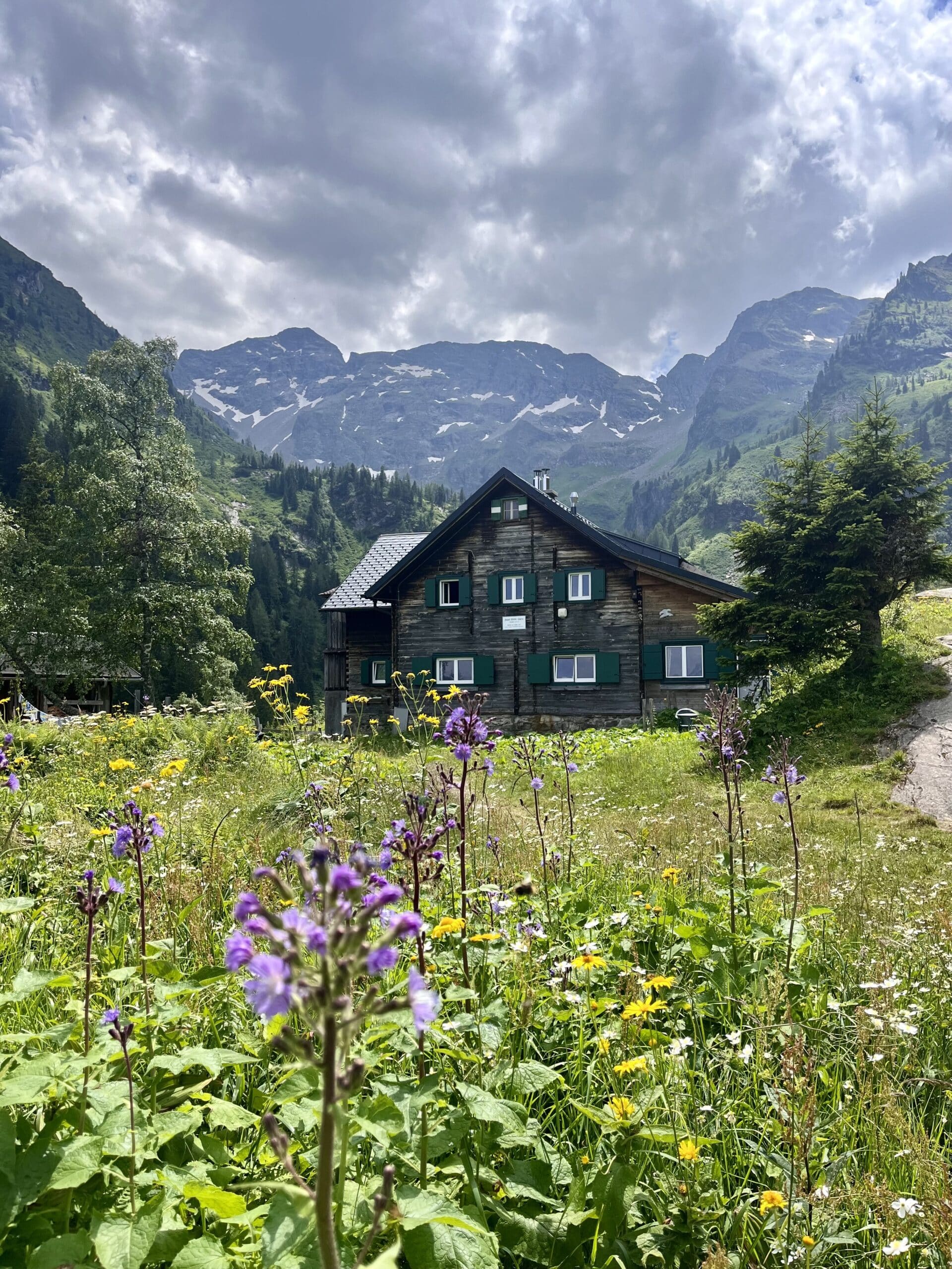 Urige Almhütte in grüner Wiese, die Hans Wödl Hütte