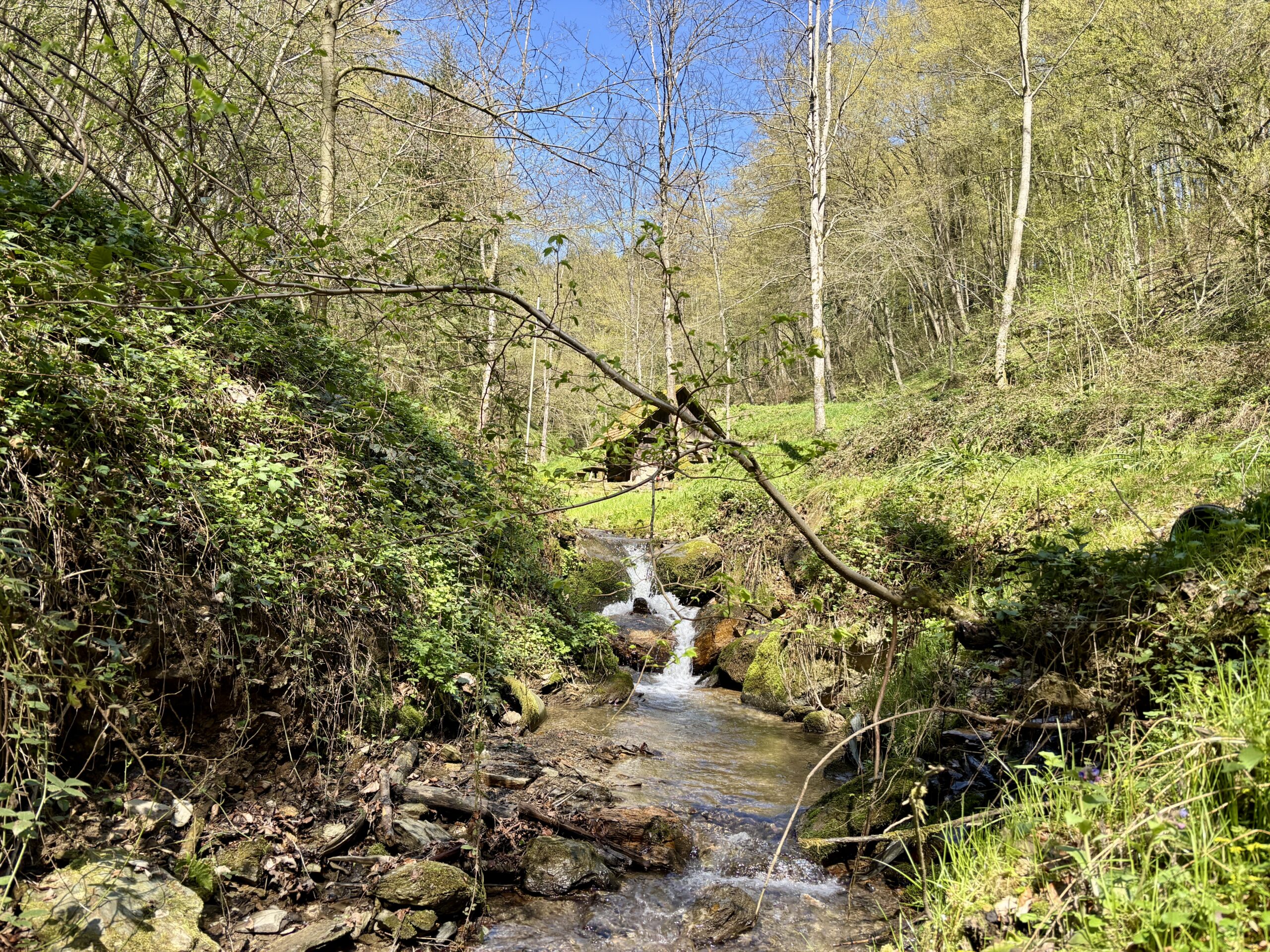Bach im Wald in Kitzeck Südsteiermark