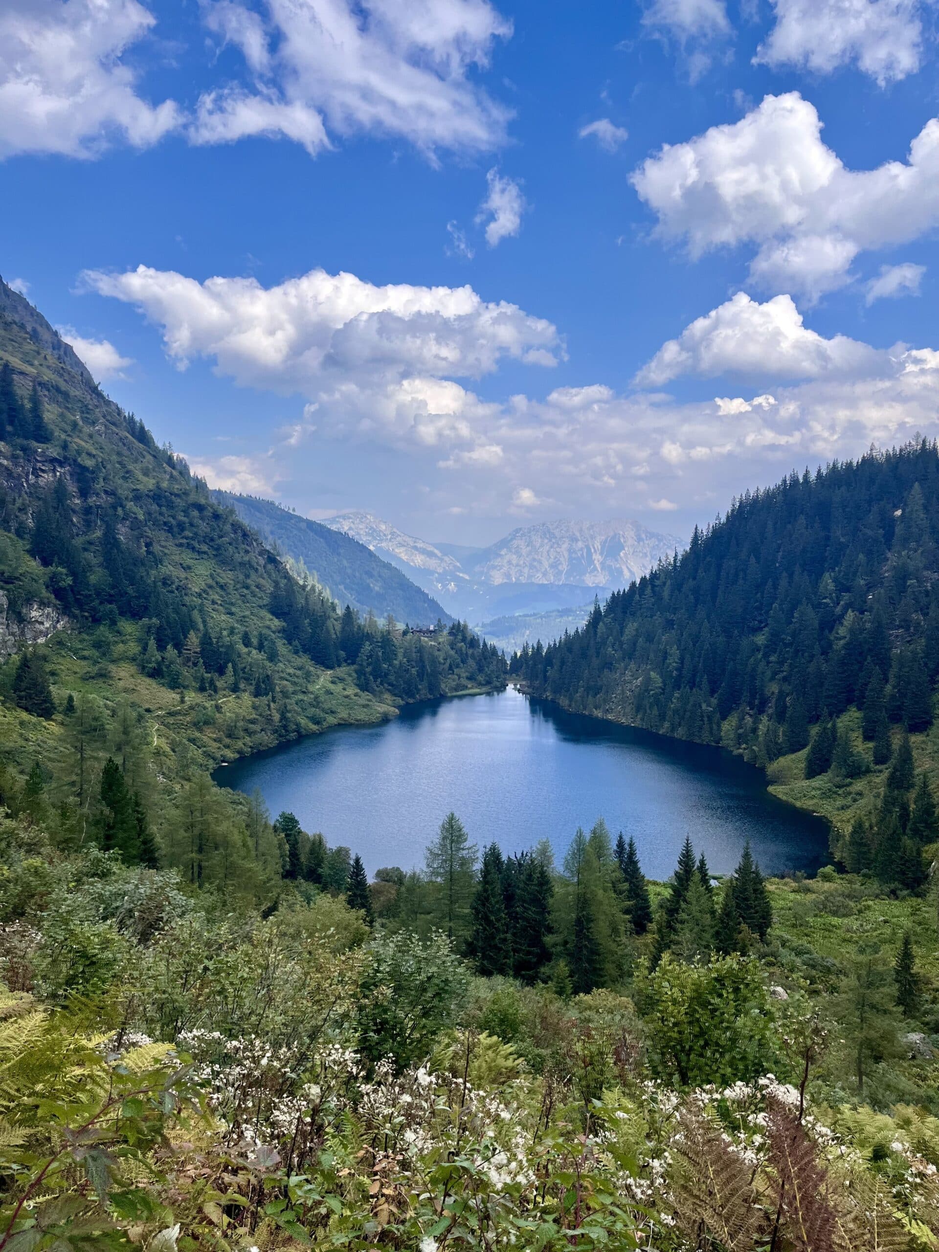 Hüttensee bei der Hans-Wödl Hütte; Bergsee, Wald