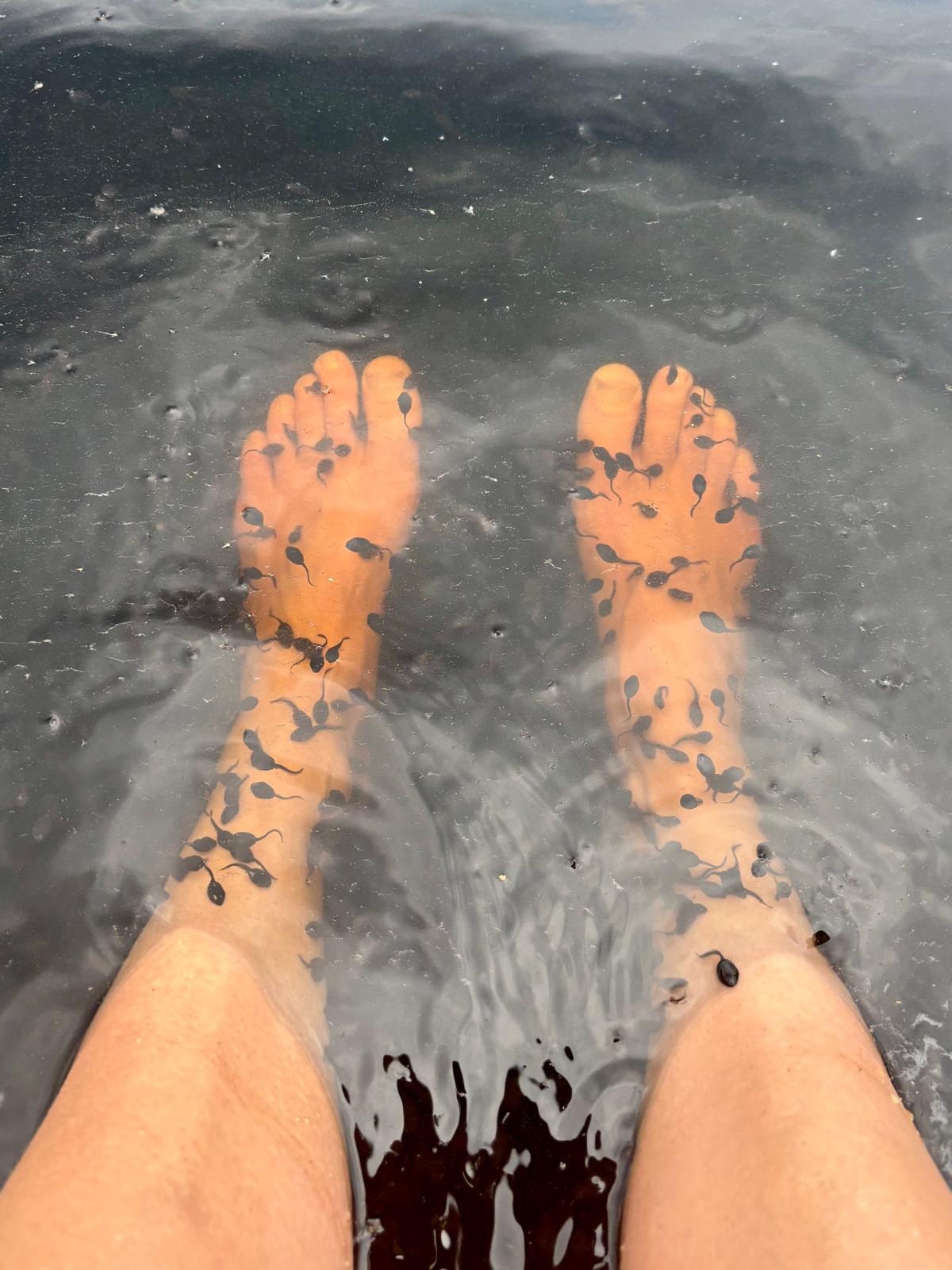 Beine im See und Kaulquappen auf Beinen