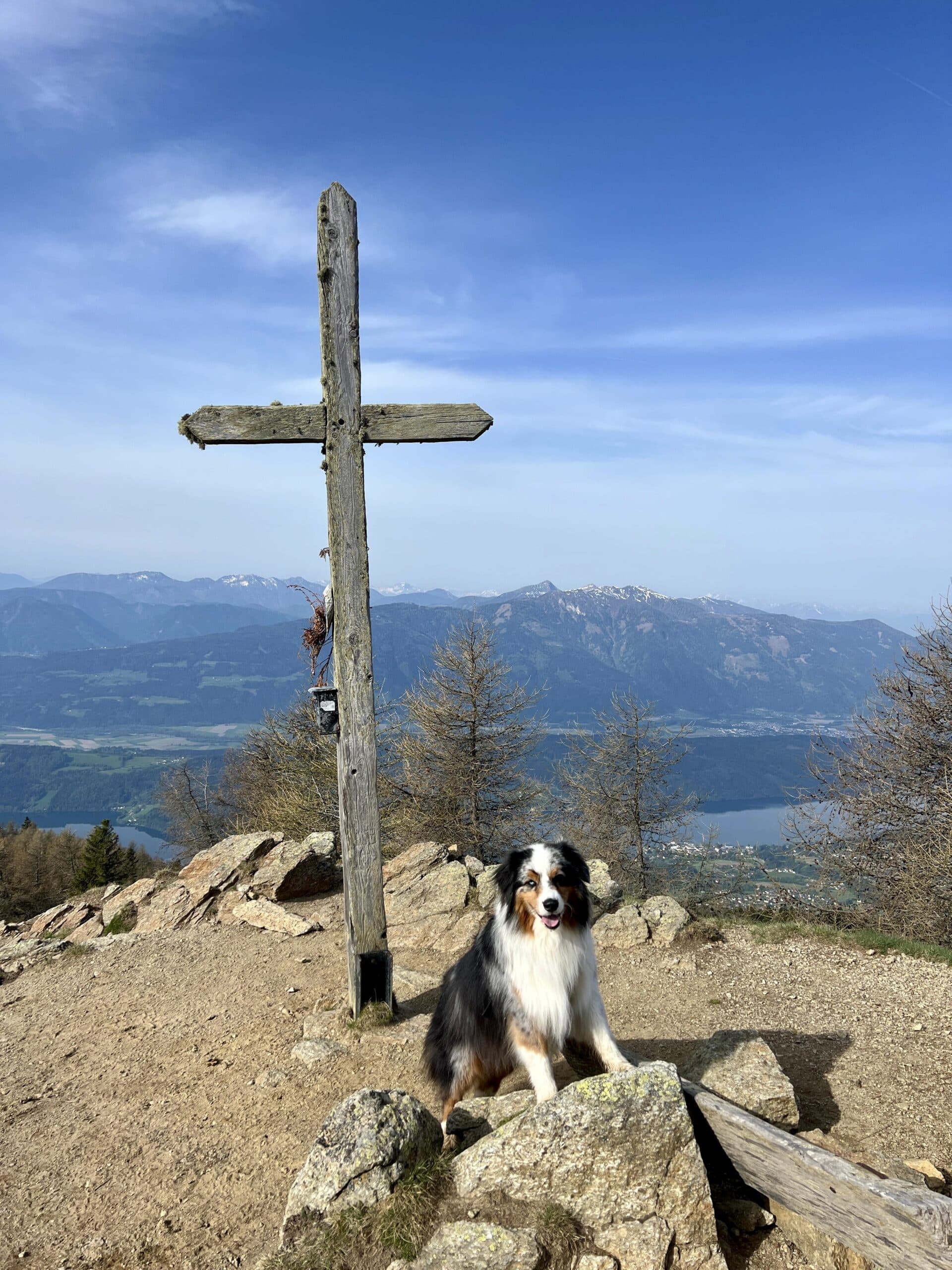 Hund sitzt vor Gipfelkreuz