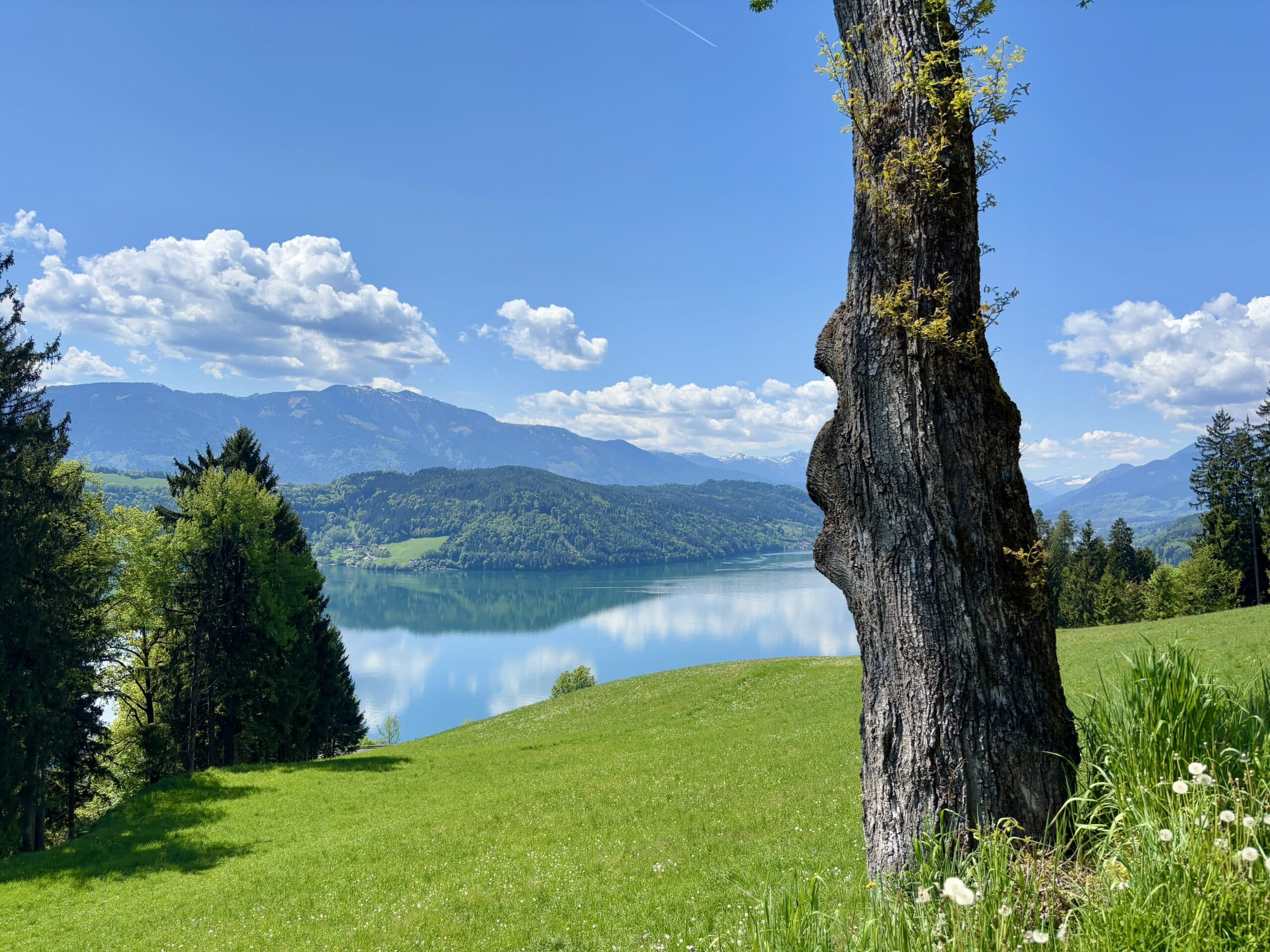 Blick auf Millstätter See, grüne Wiese, Bäume