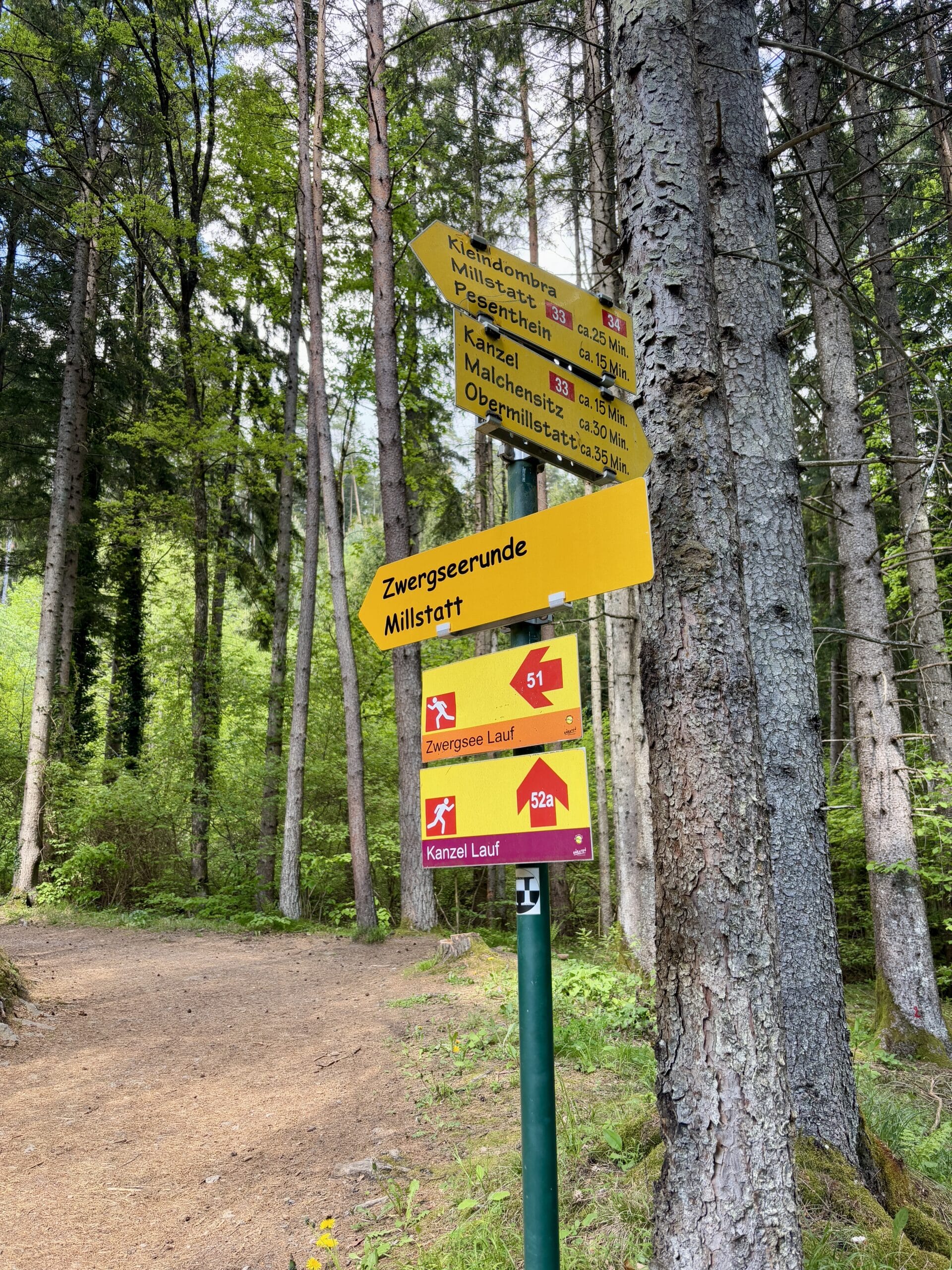 Wanderwegweiser Zwergsee