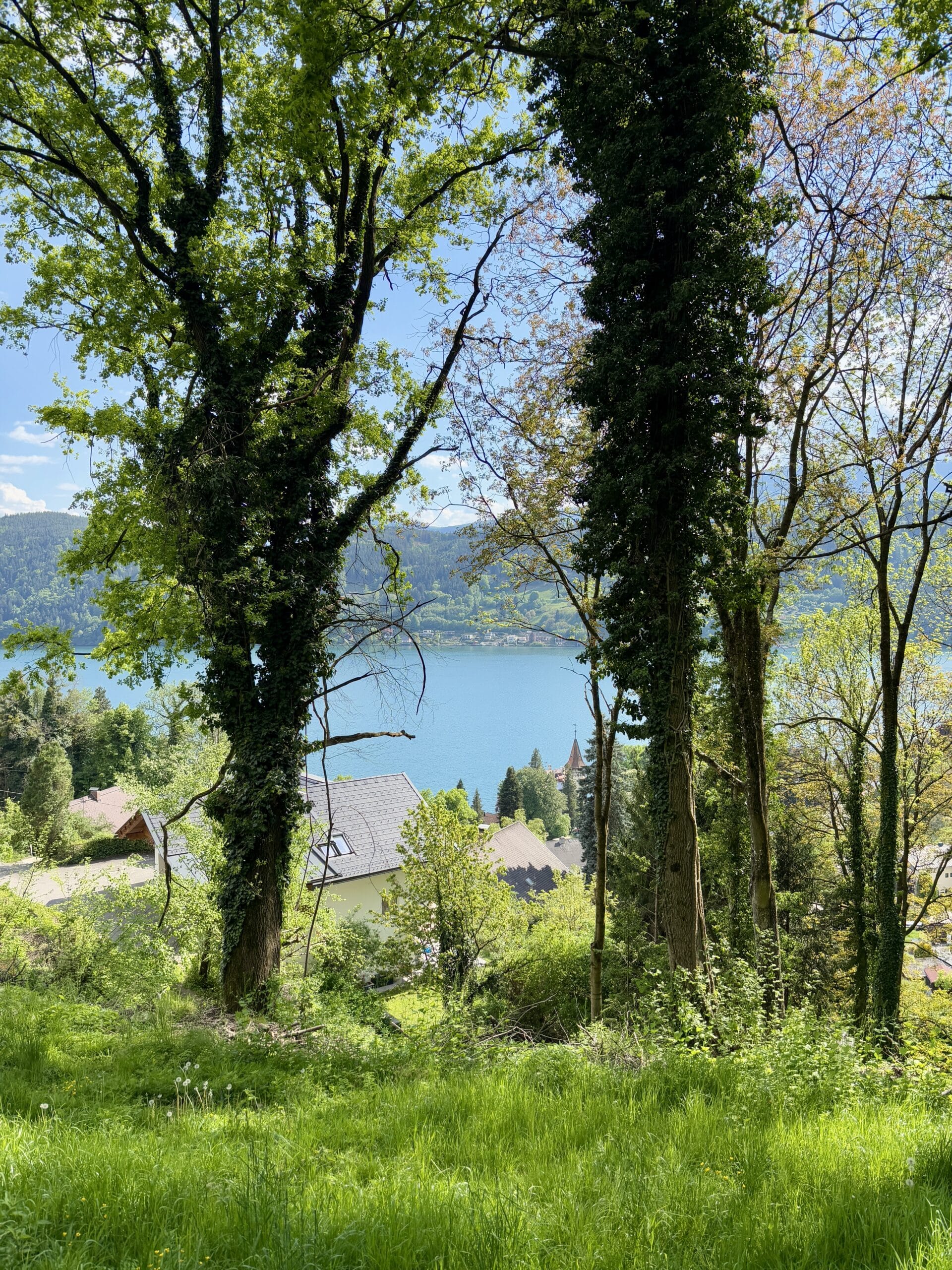 Blick auf Millstätter See, Wiese, Wald