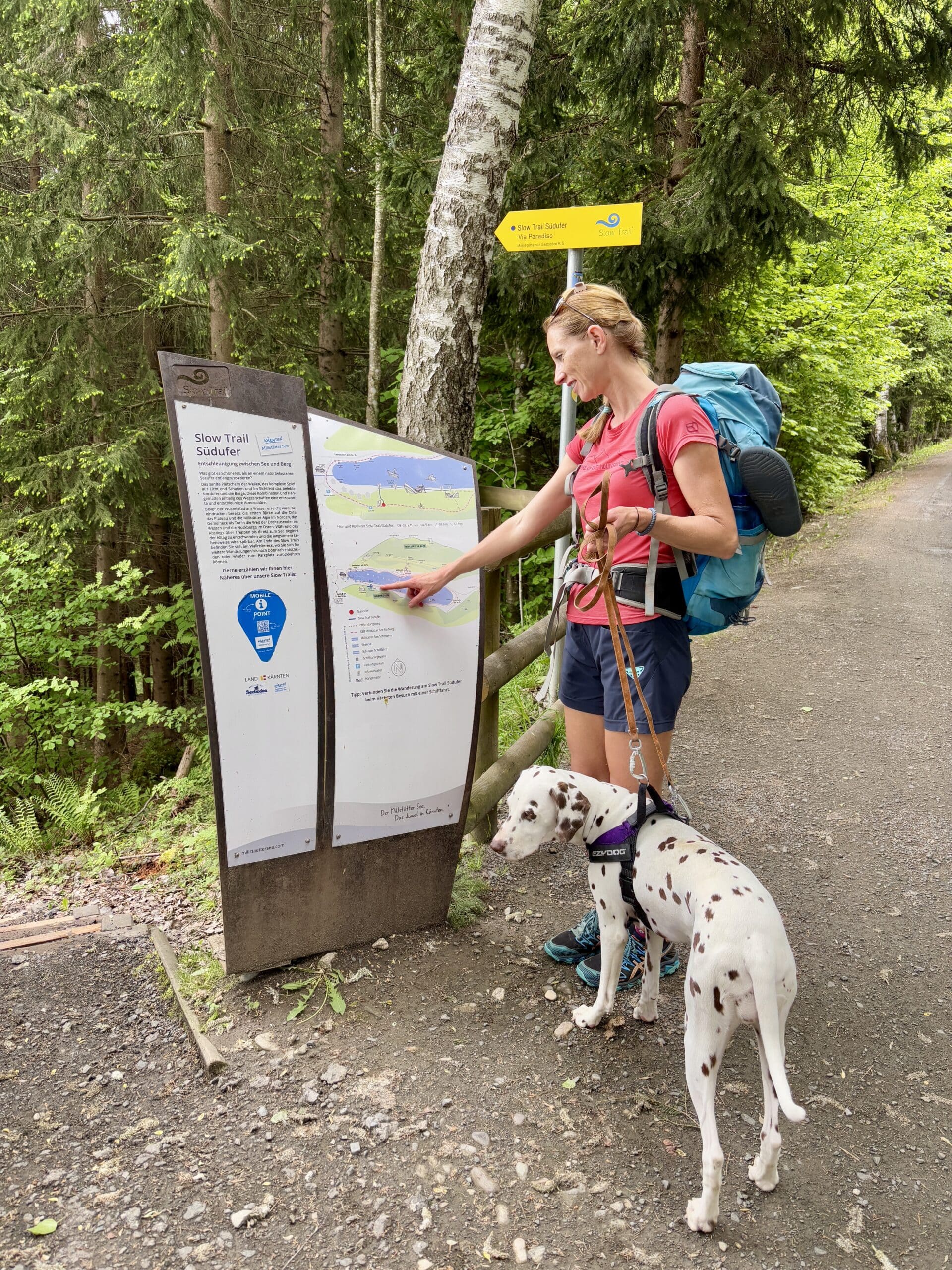 Frau beim Wandern, steht mit Hund bei Infotafel am Süduferweg Millstätter See