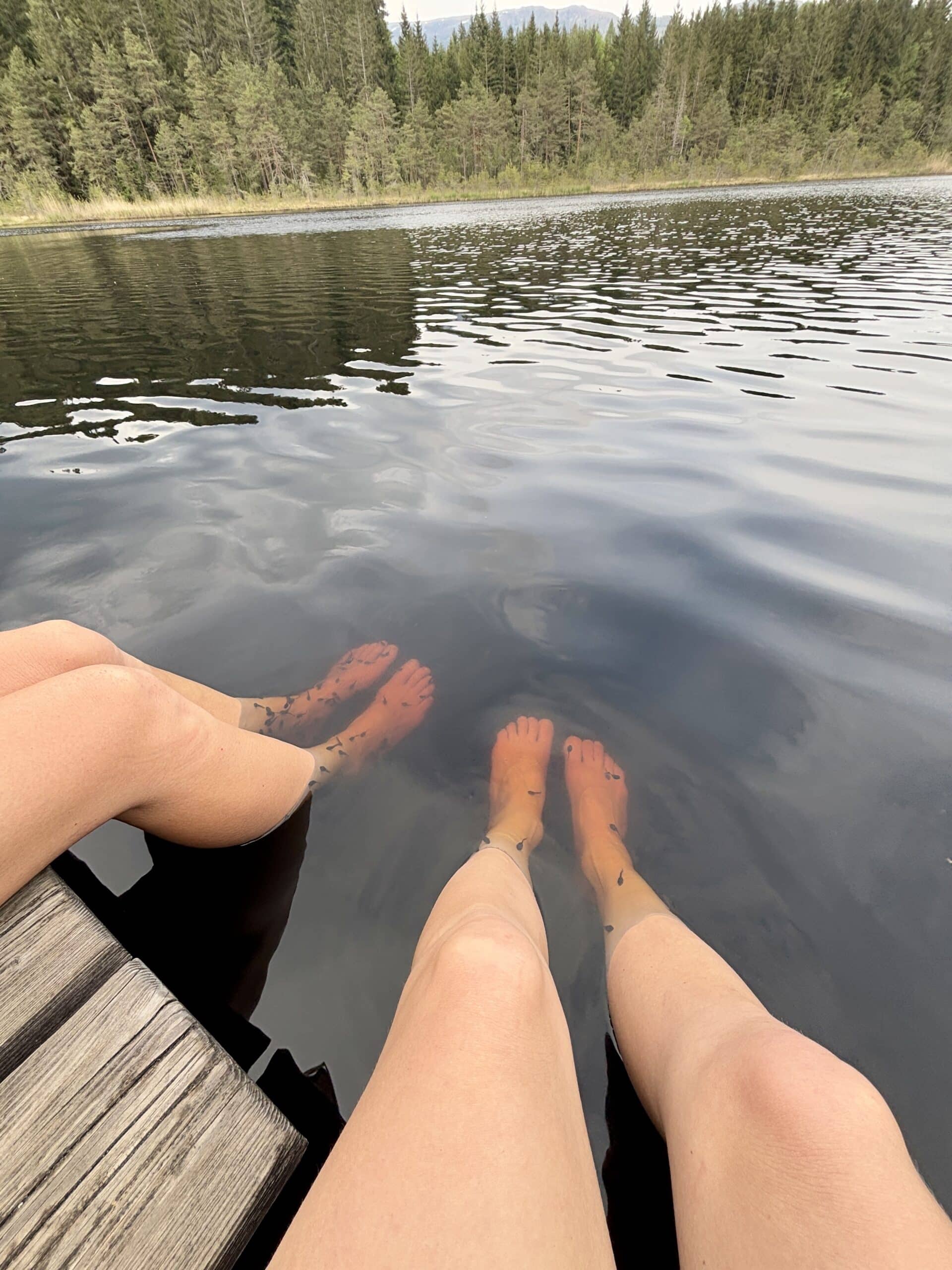 Kaulquappen im Egelsee; 4 Beine im Wasser