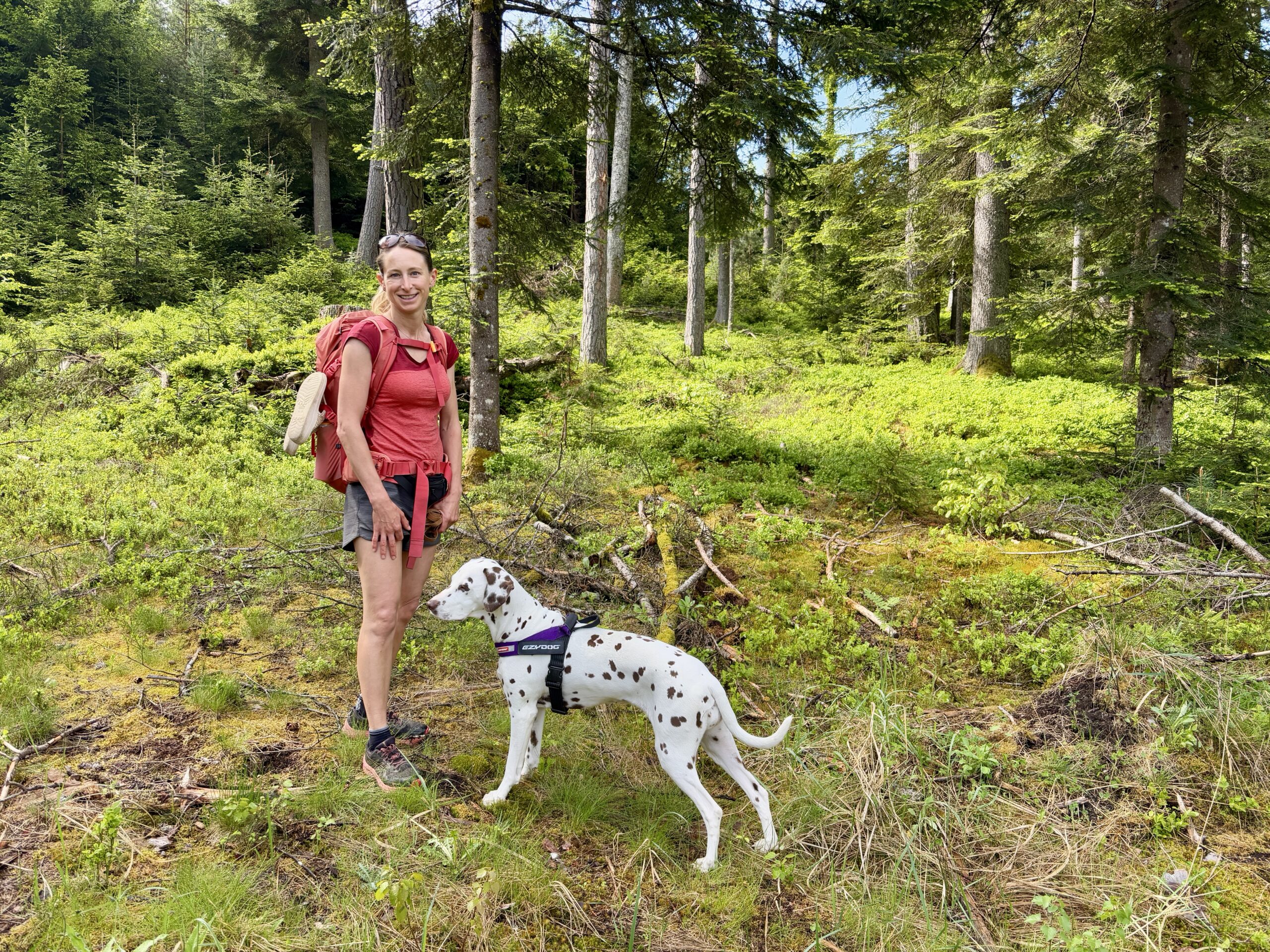 Frau mit Dalmatiner-Hund, Wandern im Wald, Via Paradiso Etappe 4