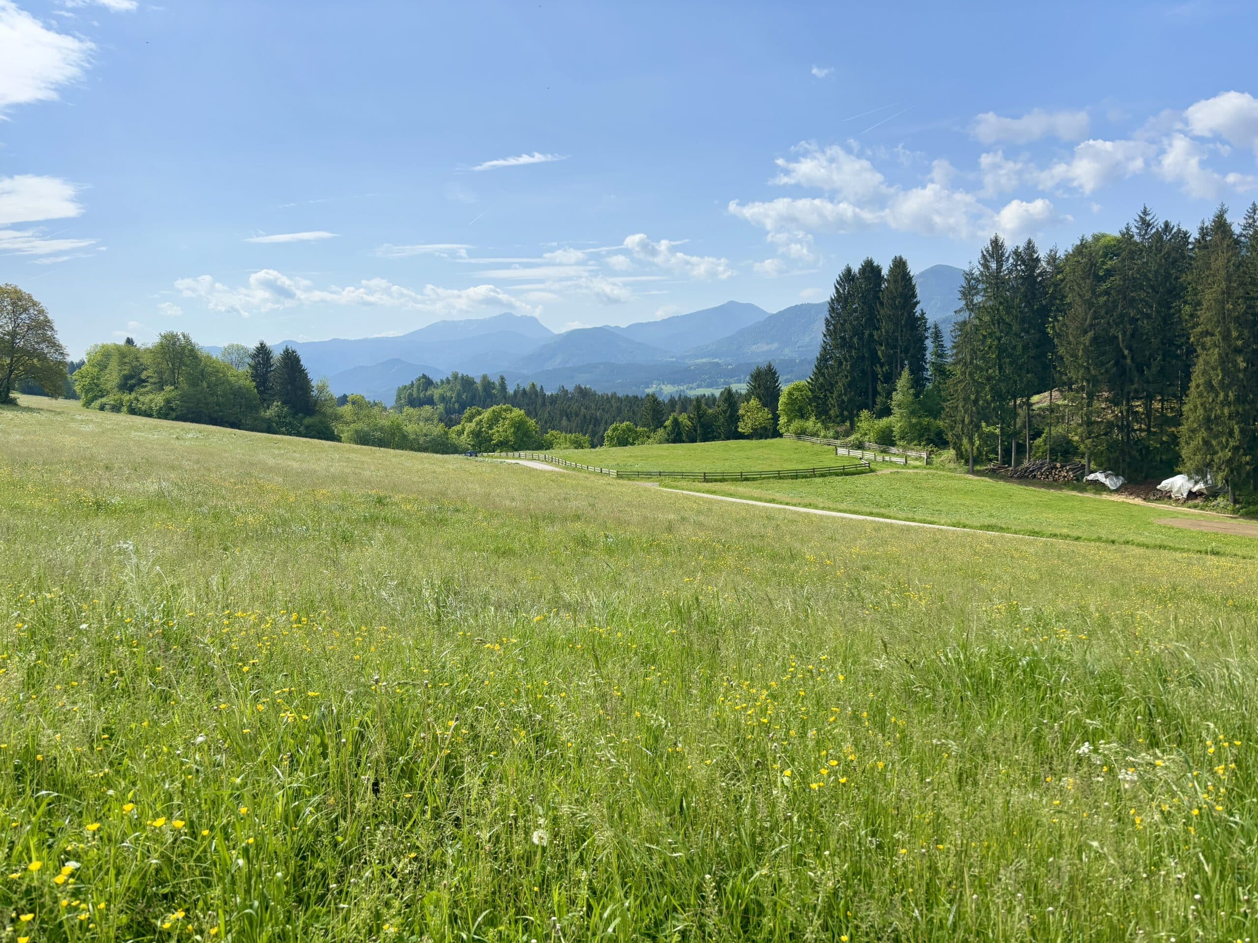 Grüne Wiese, Via Paradiso Etappe 4