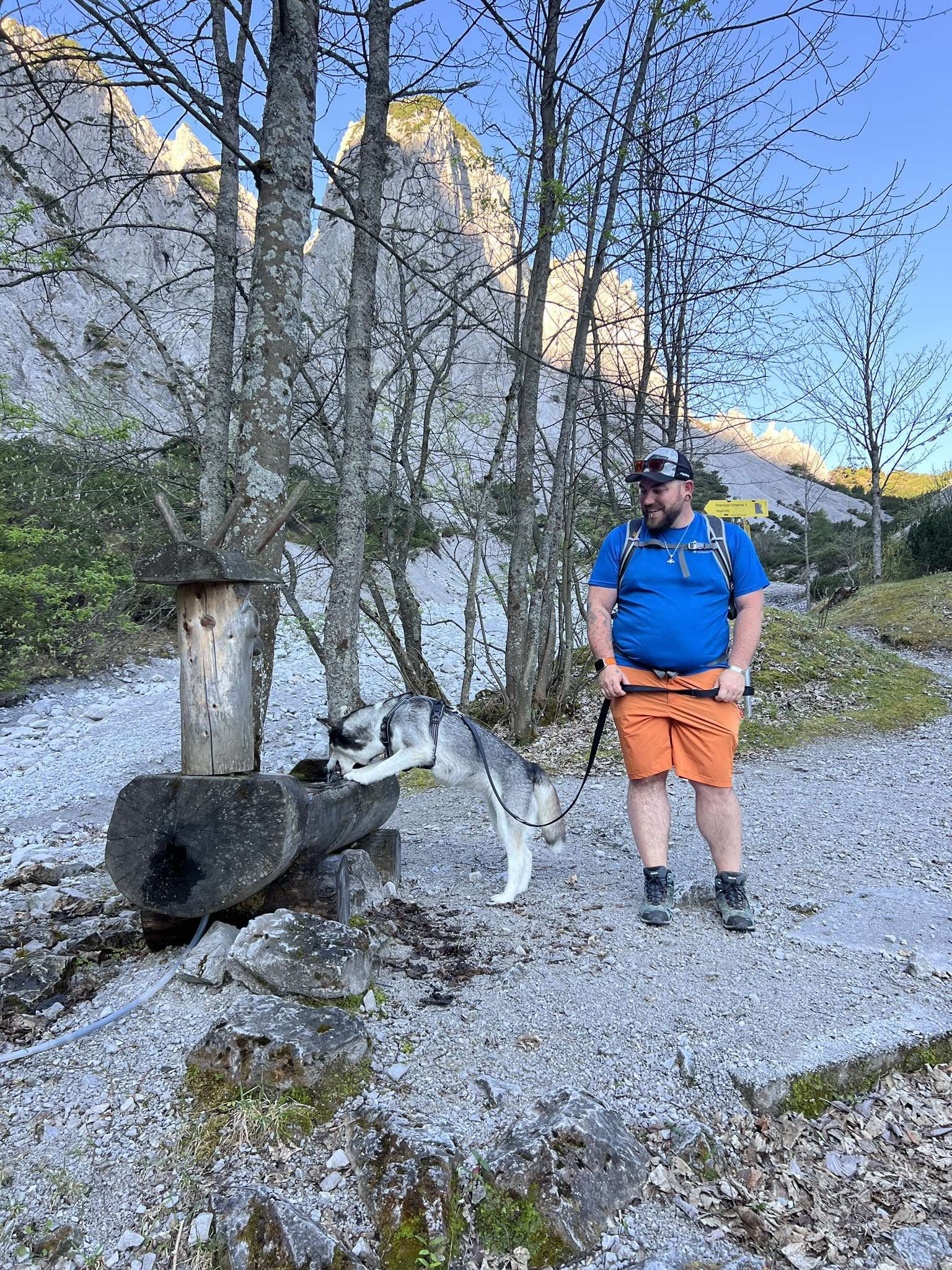 Husky-Hund trinkt beim Wandern aus Brunnen am Weg zur Haindlkar-Hütte