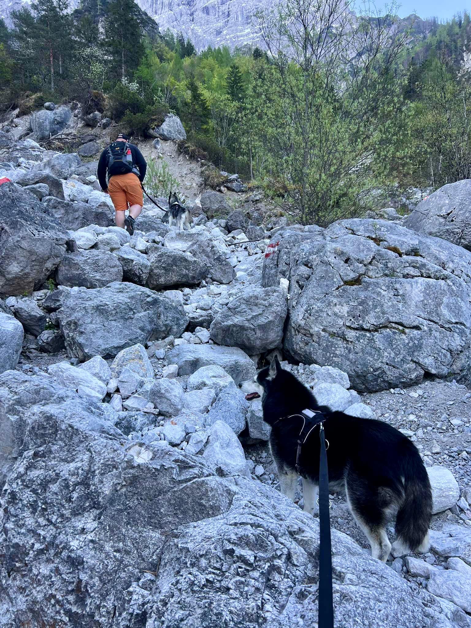 Mann und Husky Hund wandern über felsiges Gelände, Gesäuse, Haindlkar