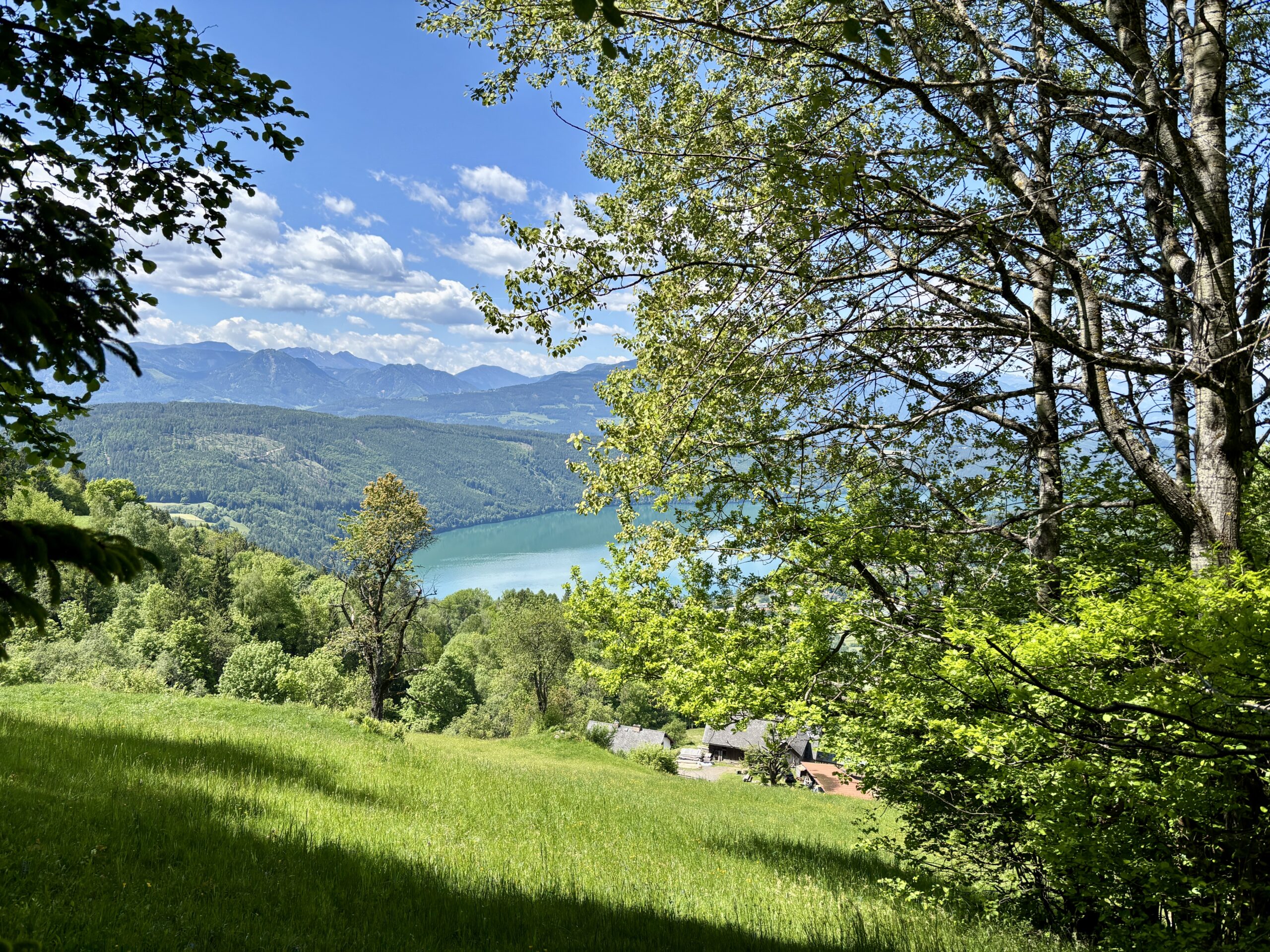 Blick auf Wiesen, Wald, Berge und Millstätter See