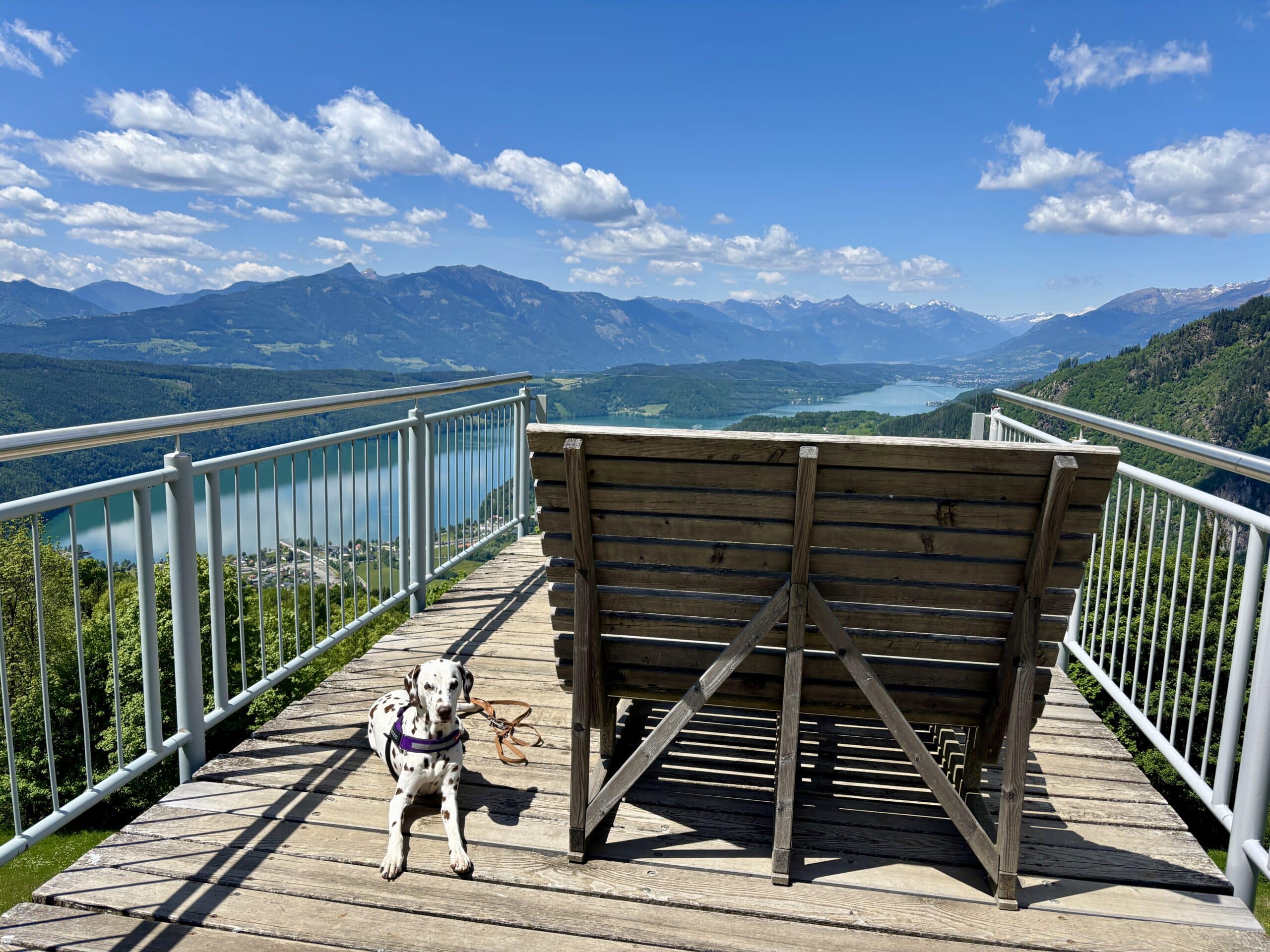 Hund liegt am Boden von Aussichtsterrasse, Sternenbalkon Döbriach
