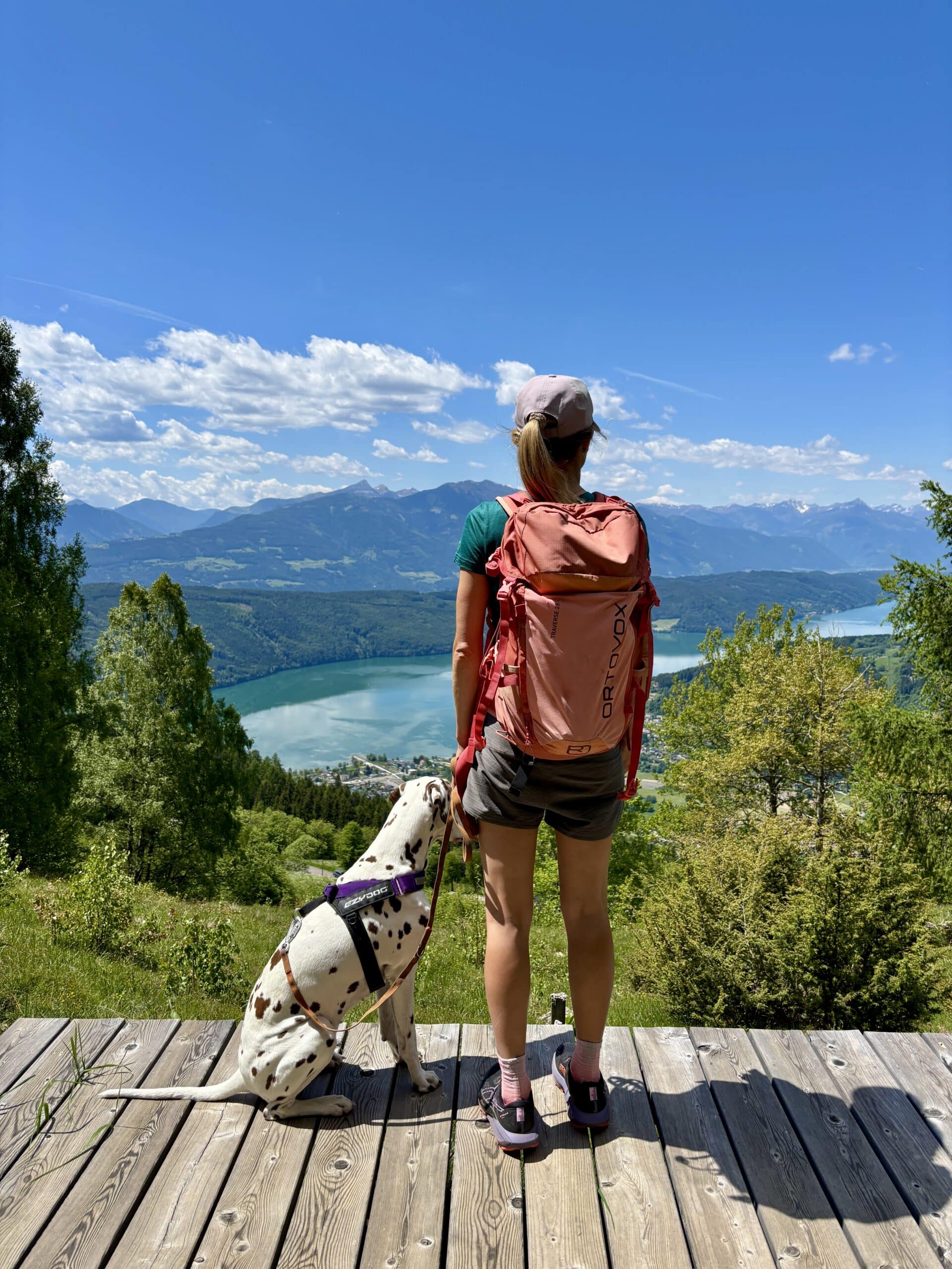 Frau steht mit Dalamtiner-Hund auf Aussichtsplattform, Wandern Millstätter See