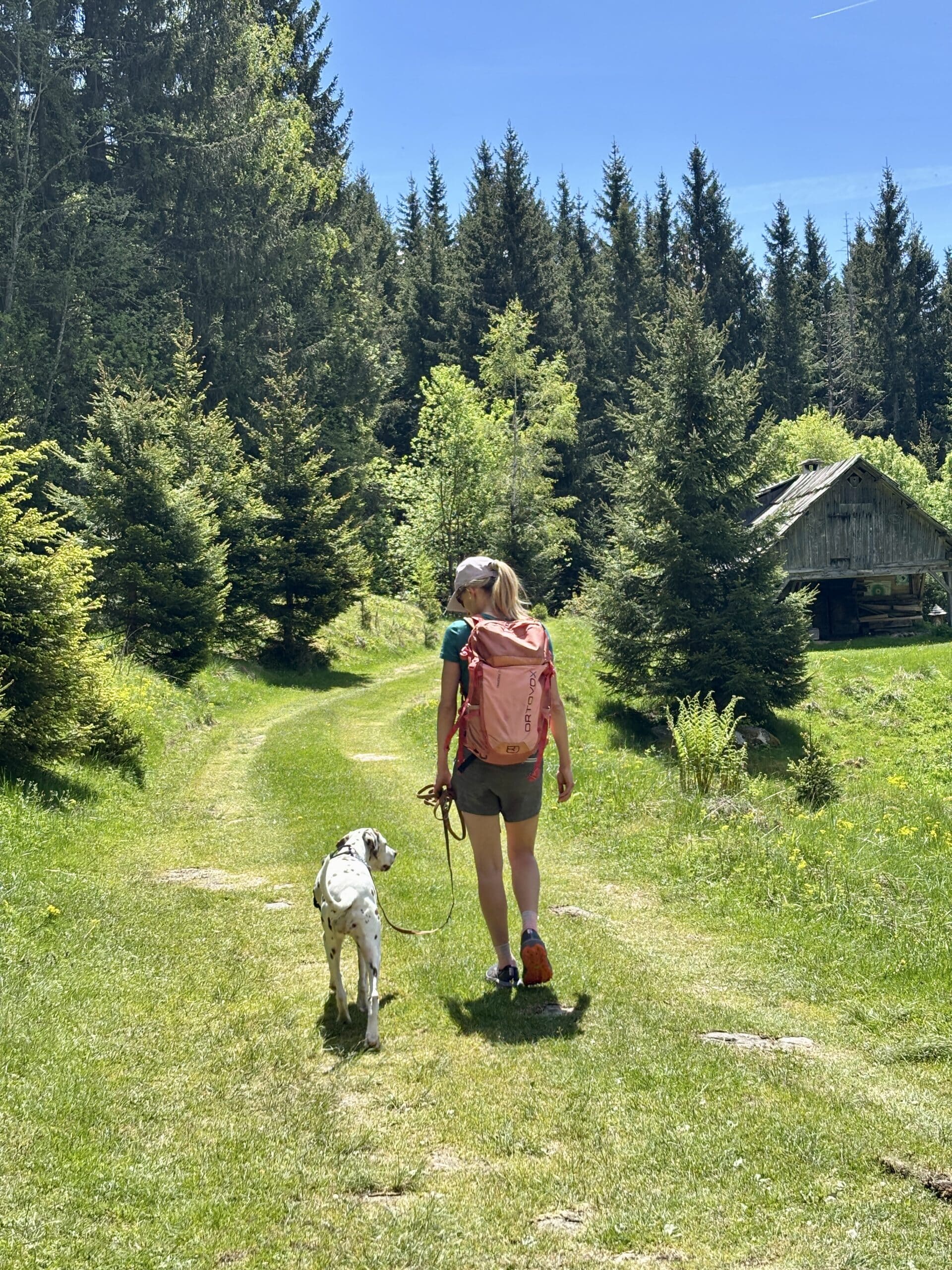 Frau wandert über Alm mit Dalmatiner-Hund