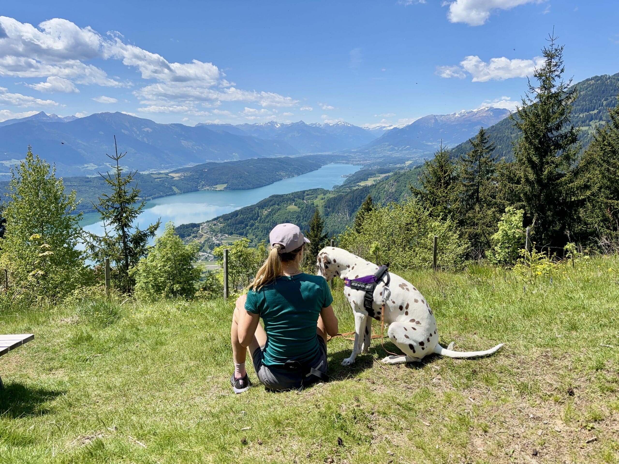 Frau sitzt mit Dalamtiner-Hund im Gras mit Blick auf Millstätter See