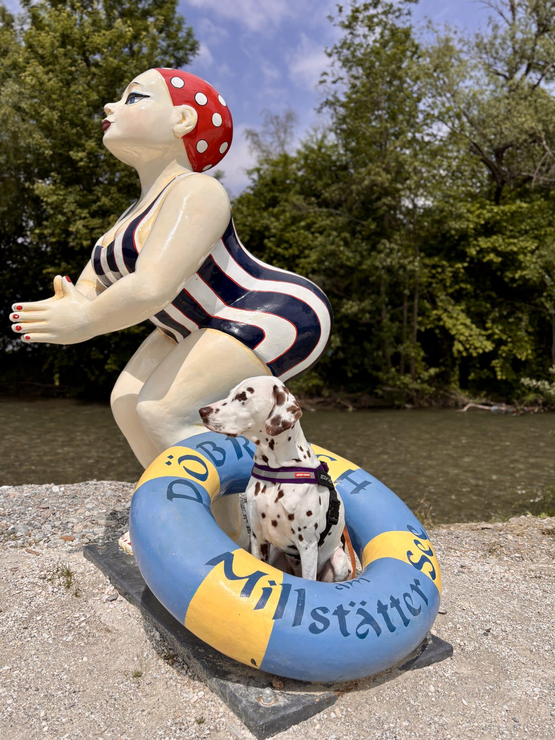 Dalmatinerhund sitzt in Schwimmreifen, Badefigur Döbriach
