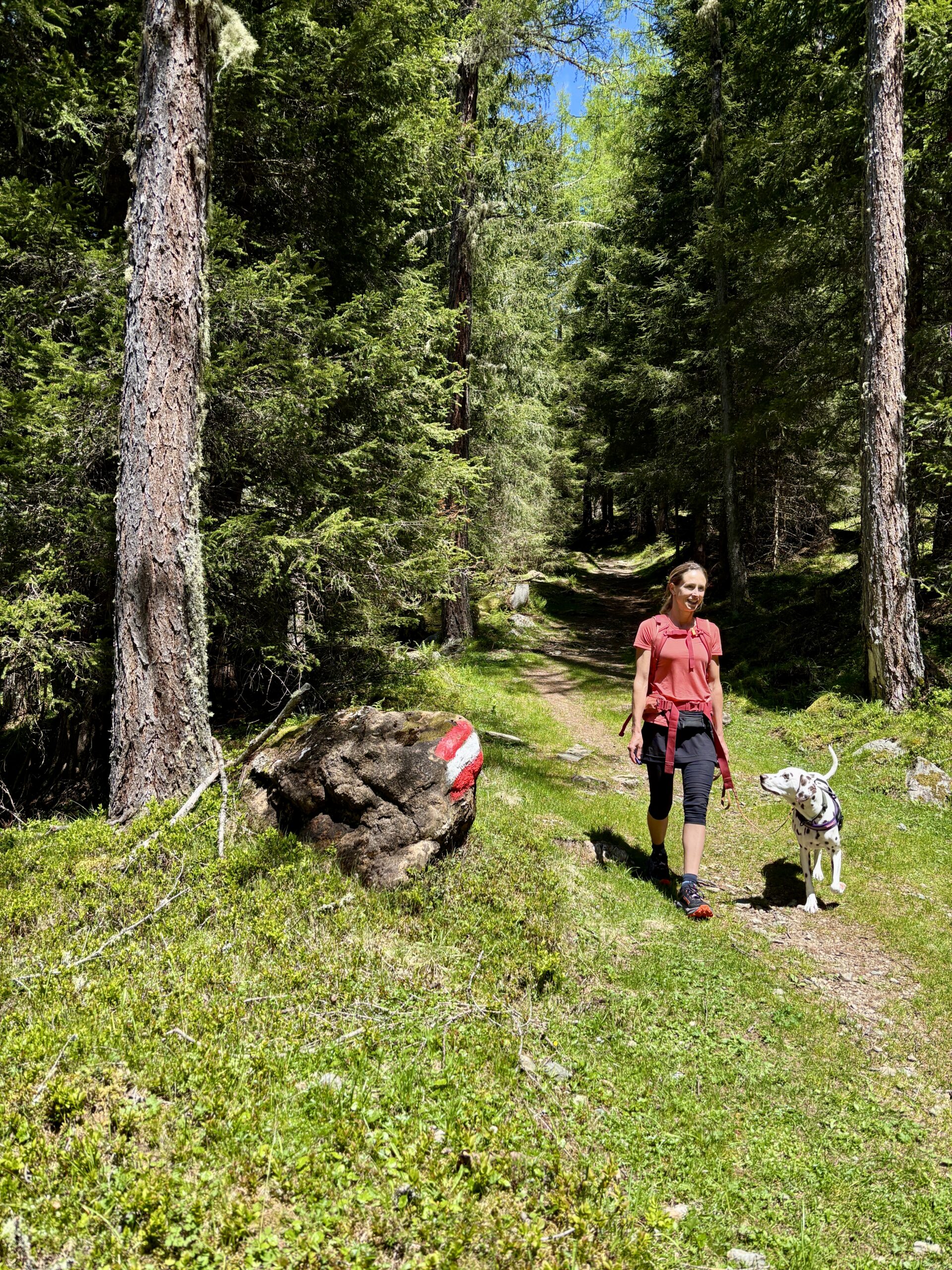 Frau wandert mit Hund im Wald; St.Oswald-Bad Kleinkichheim