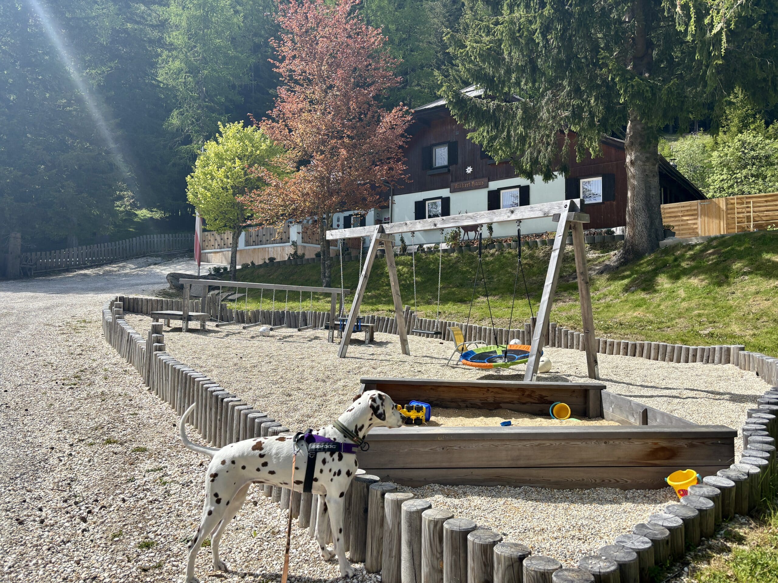 Dalmatiner, Spielplatz Falkerthaus