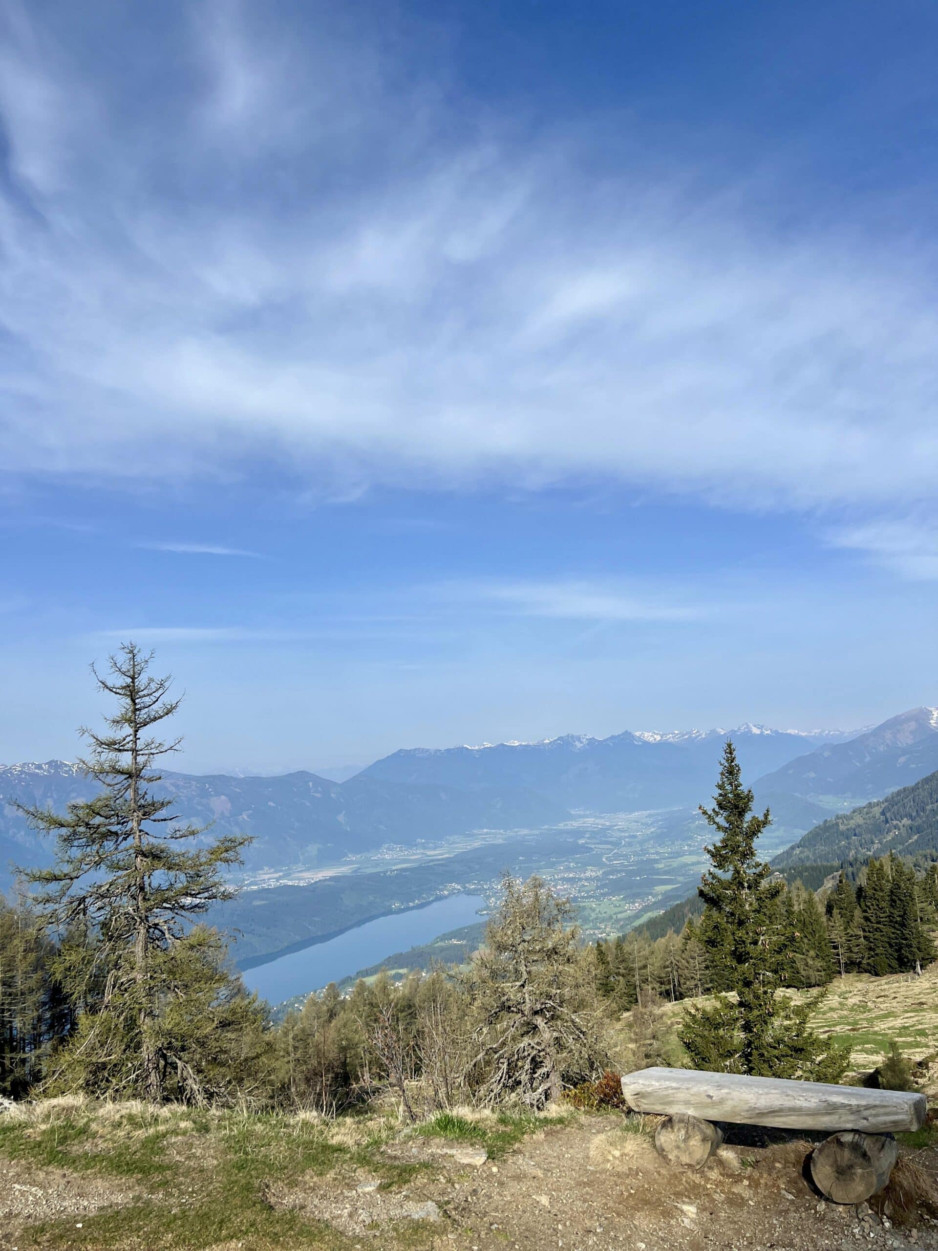 Blick von Berg auf See, Wald, Millstätter See