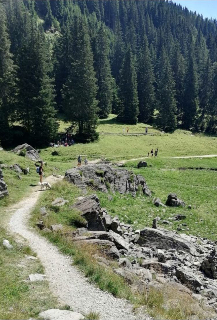 Wanderweg zum Obernberger See